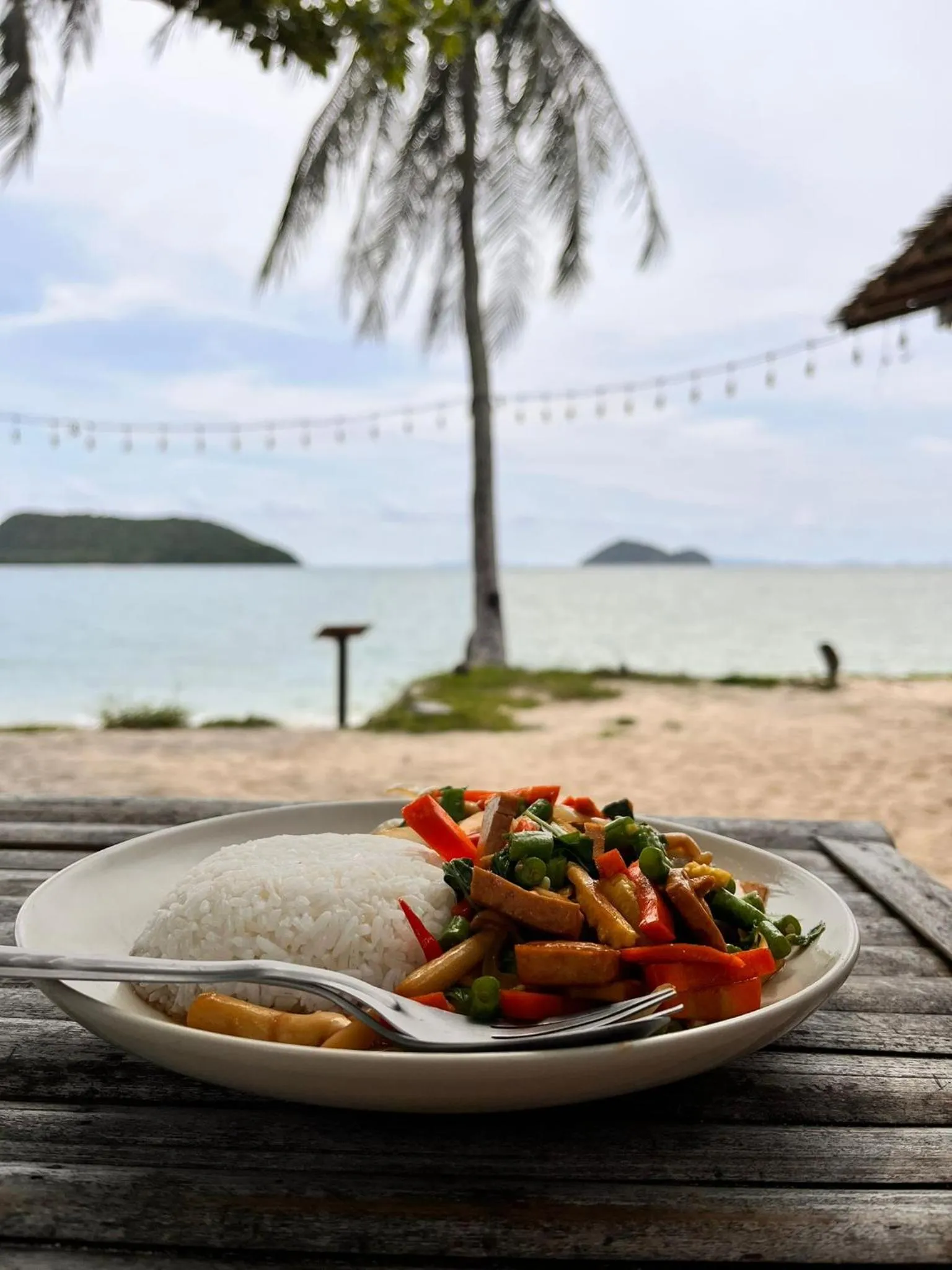 Restaurant/places to eat in Colorful Hut