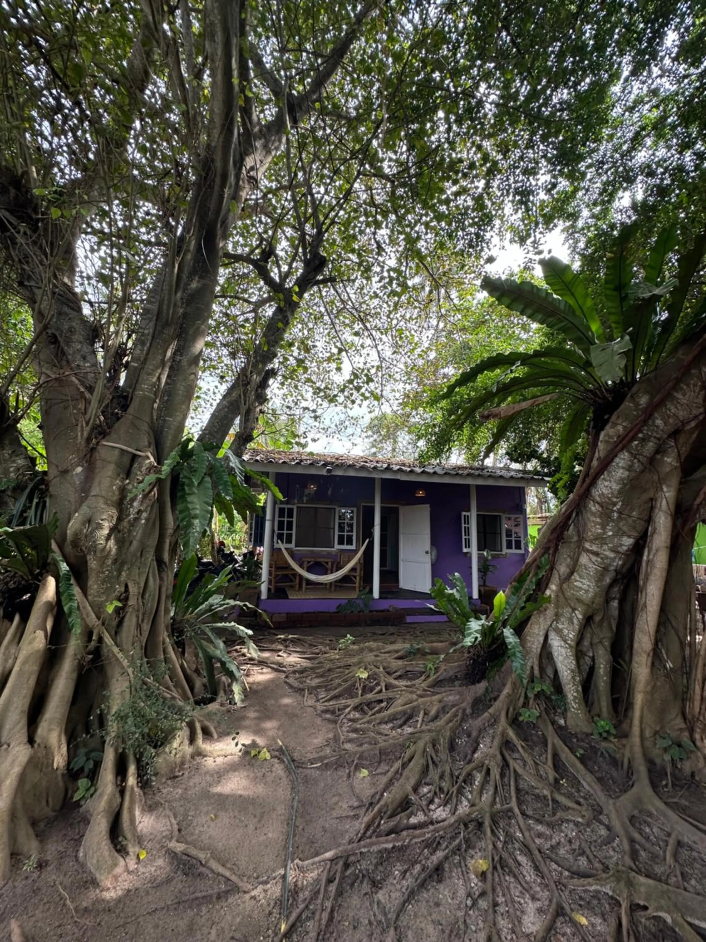 Facade/entrance in Colorful Hut