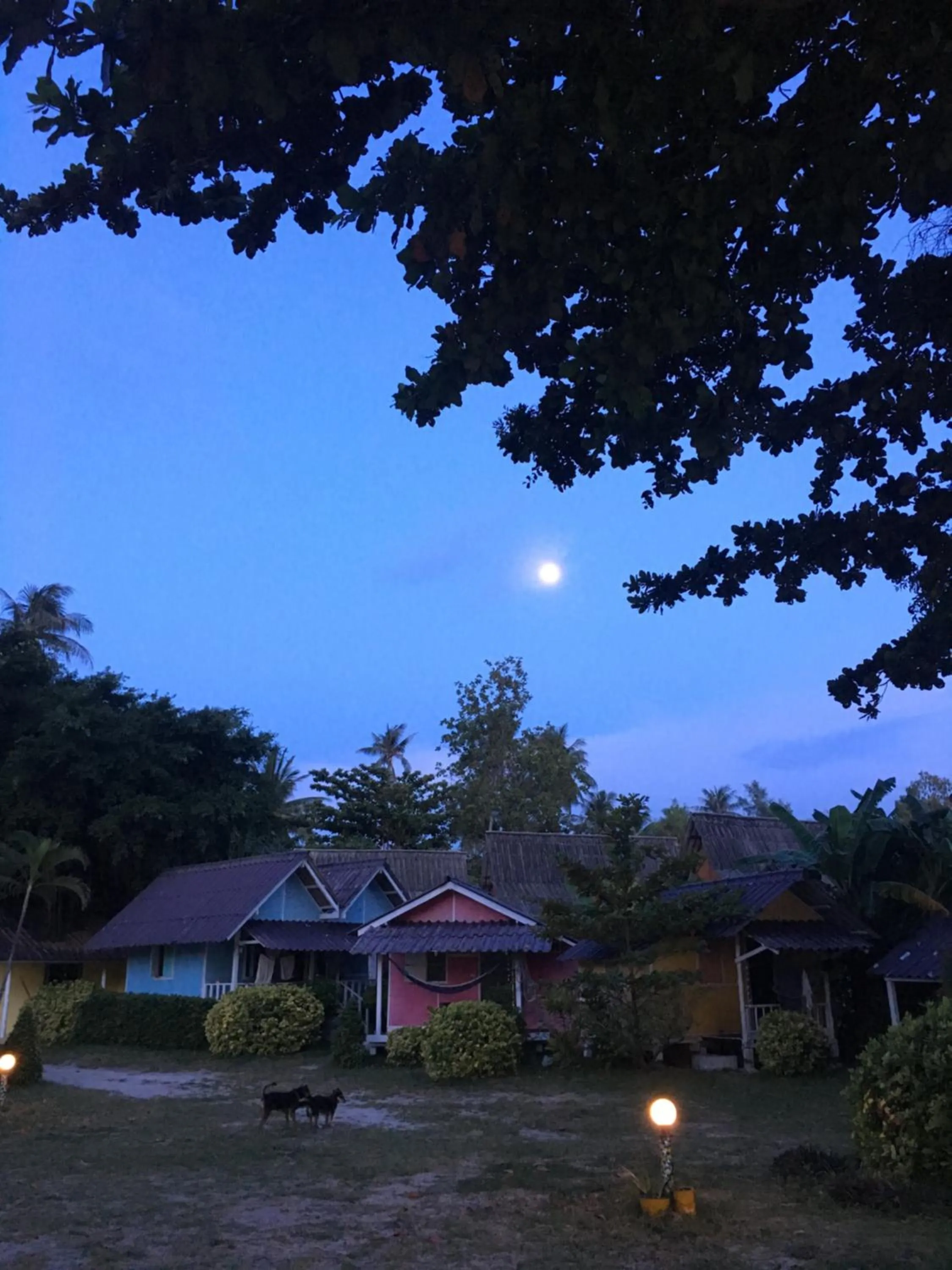 Property building in Colorful Hut