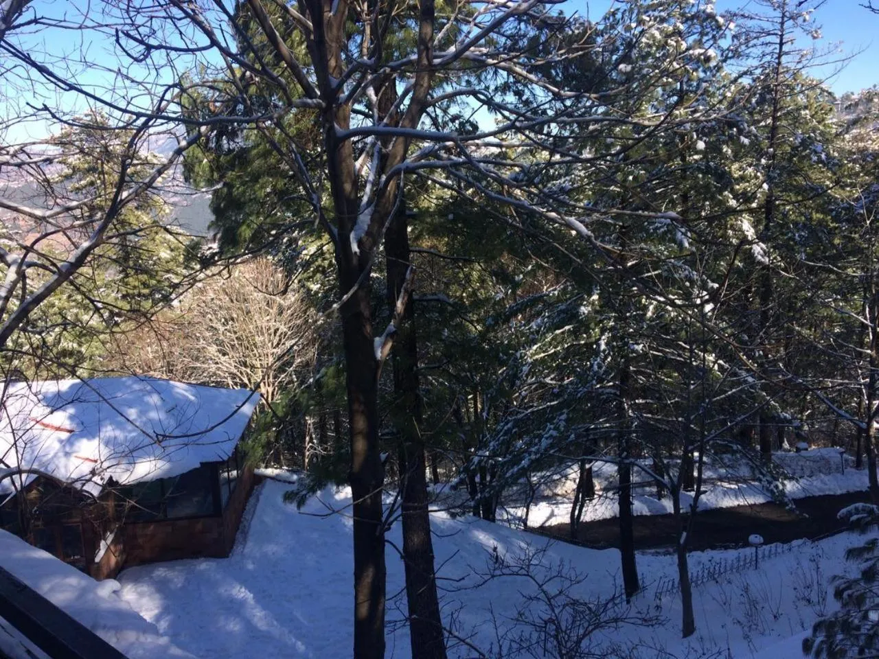 Shangrila Hotels and Resort