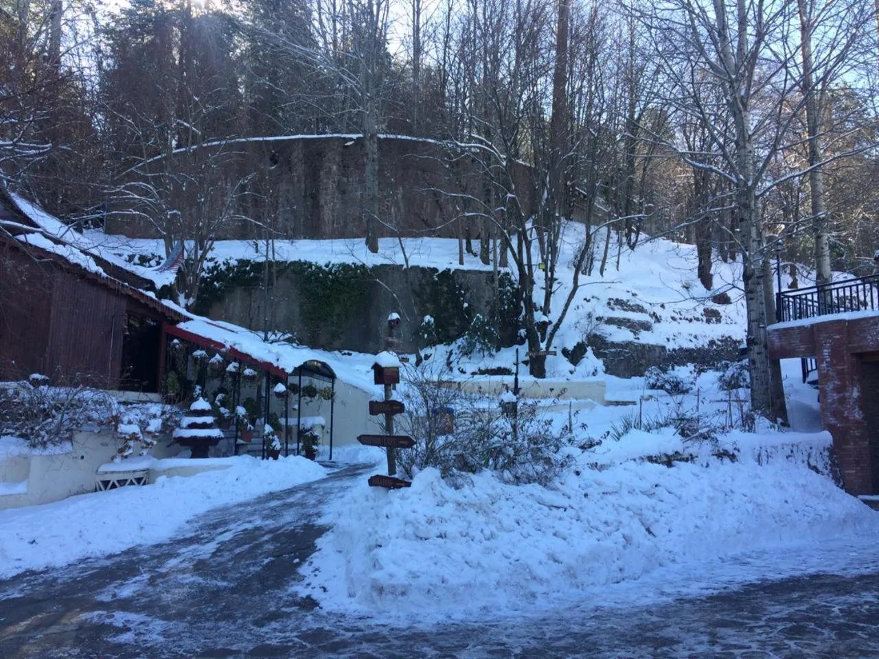 Shangrila Hotels and Resort