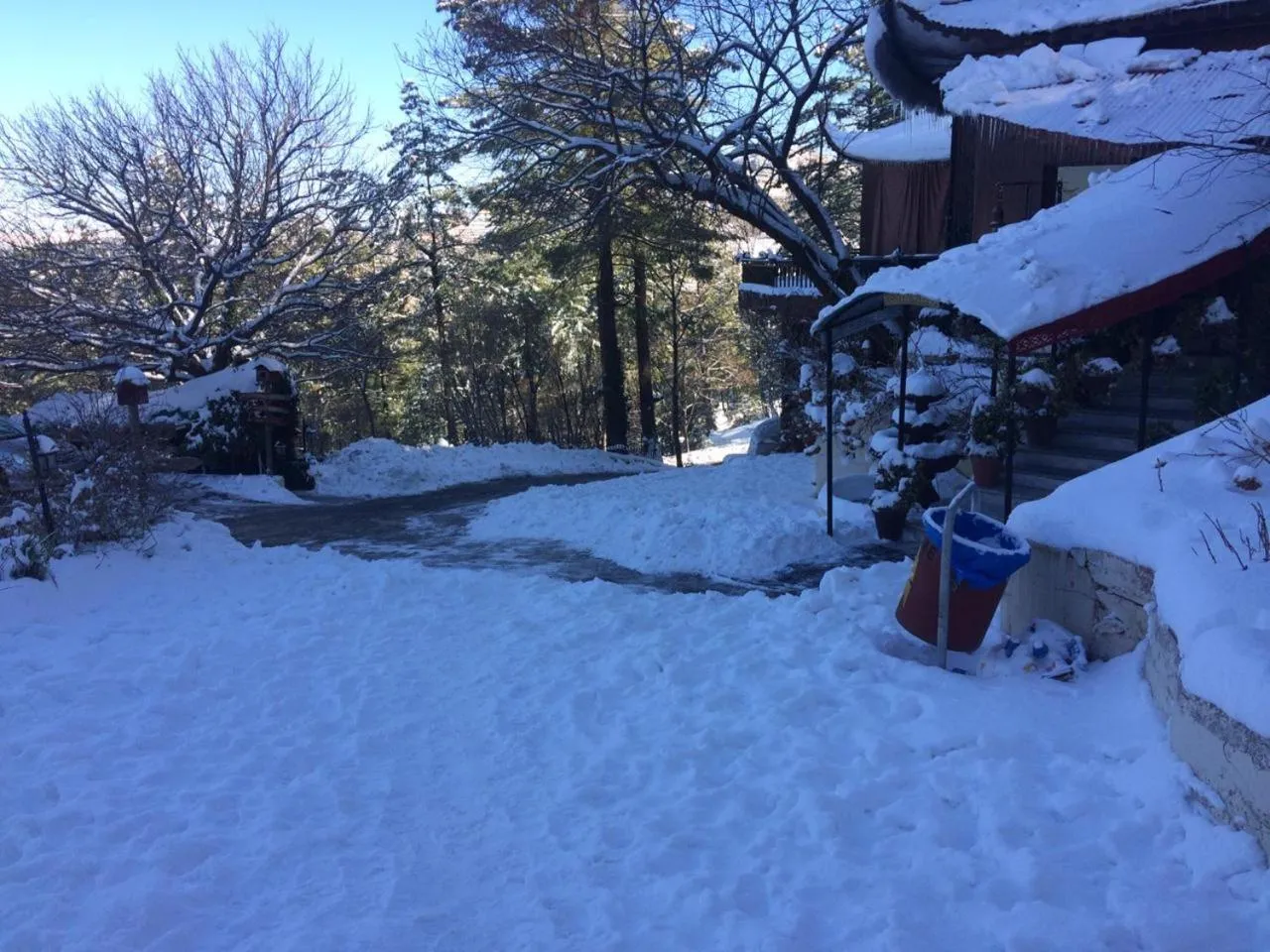 Shangrila Hotels and Resort