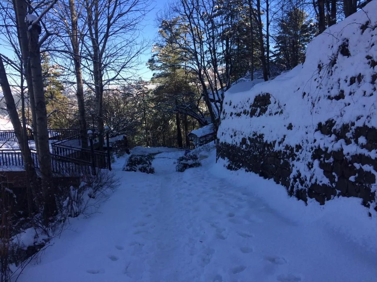 Shangrila Hotels and Resort