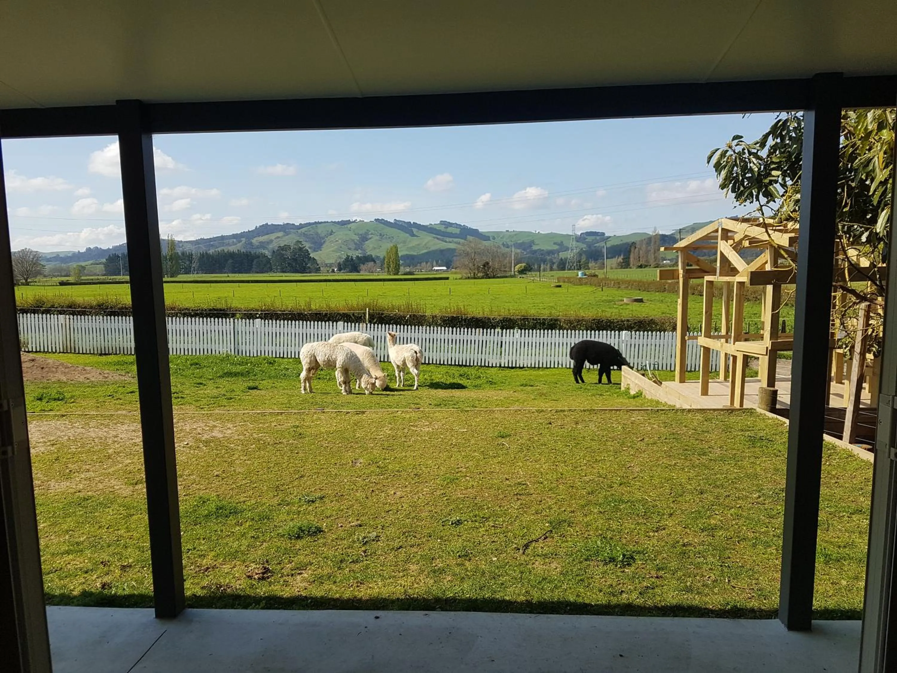 Homestead B&B Cambridge