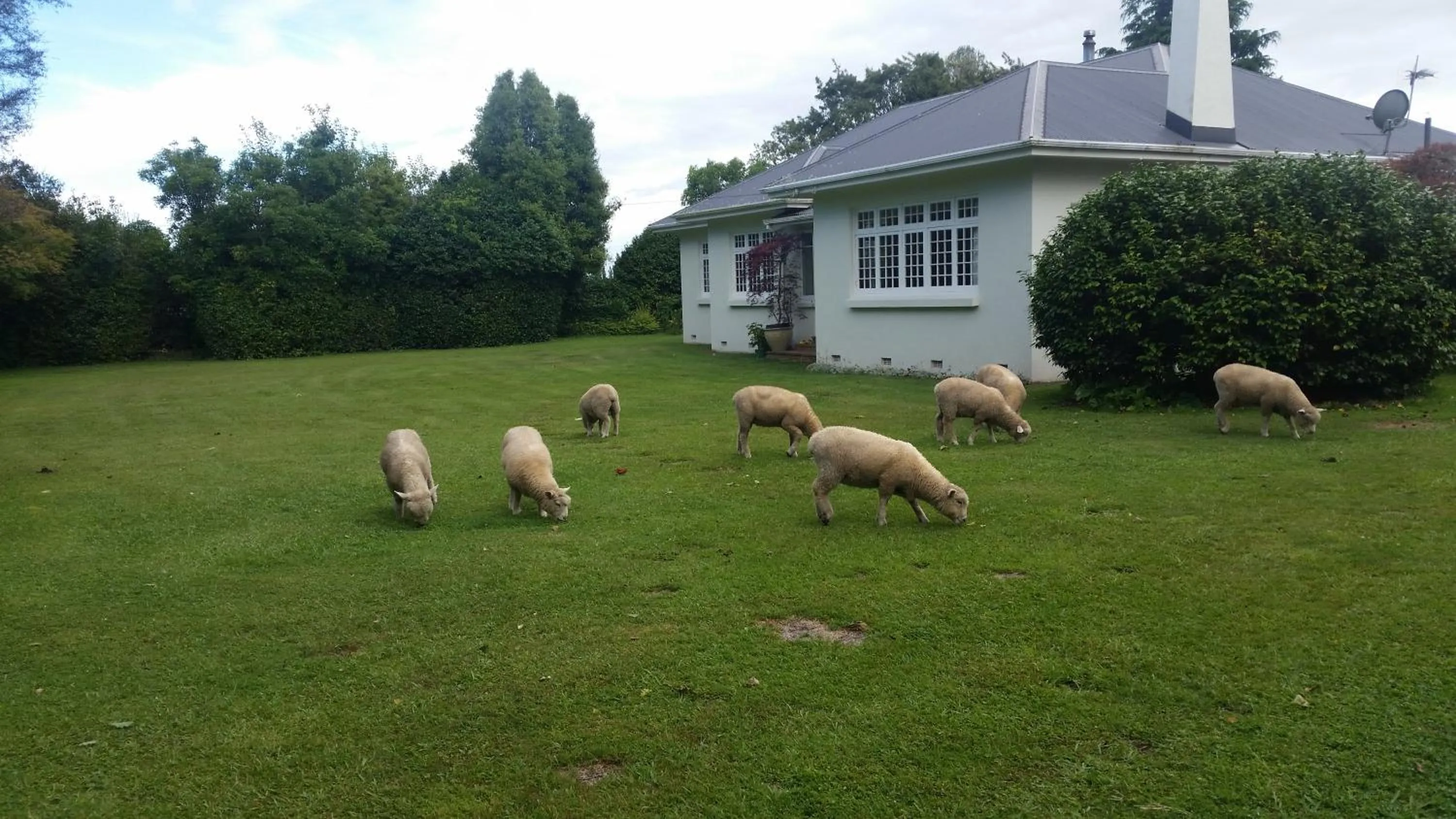 Homestead B&B Cambridge