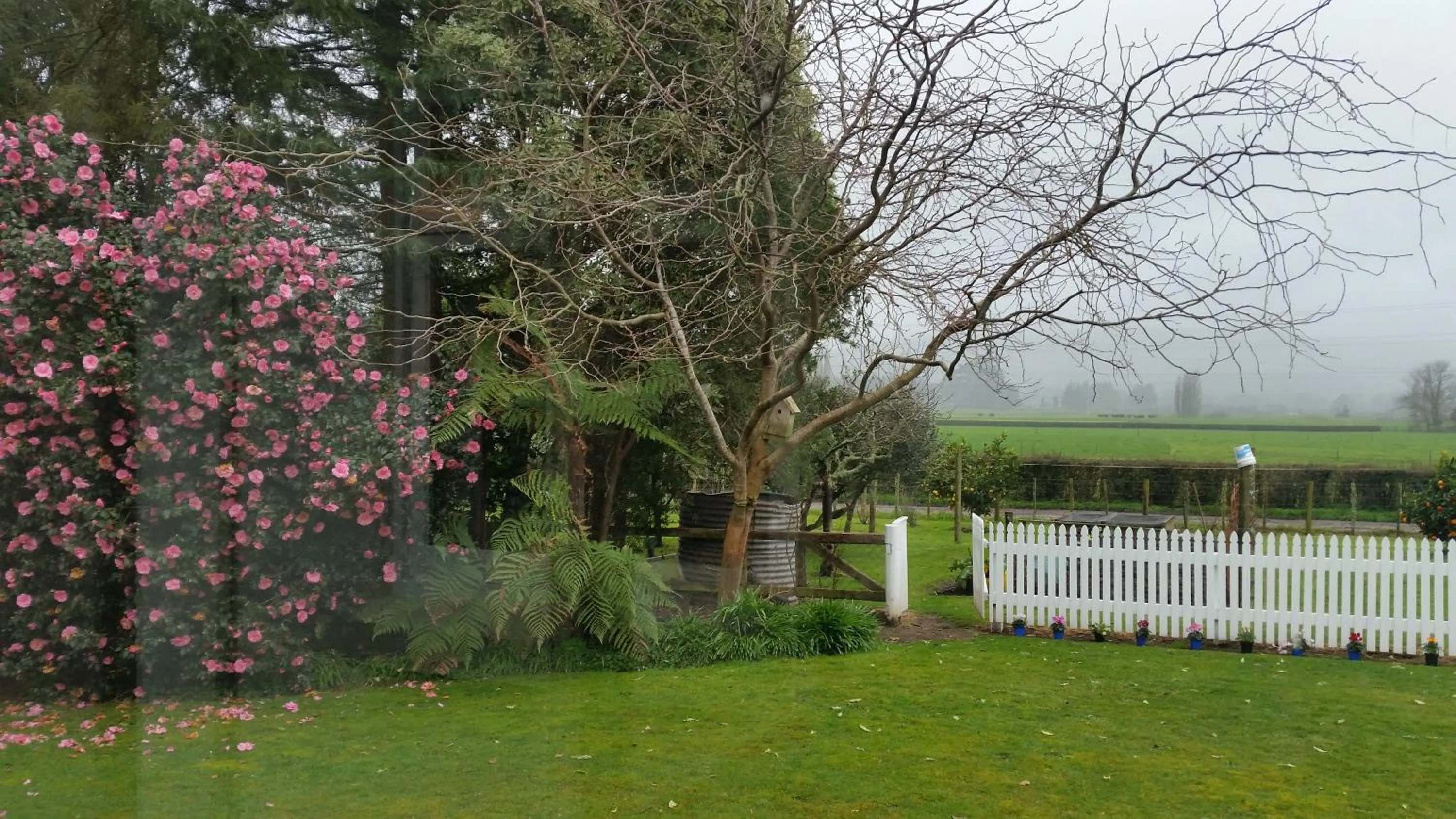 Homestead B&B Cambridge