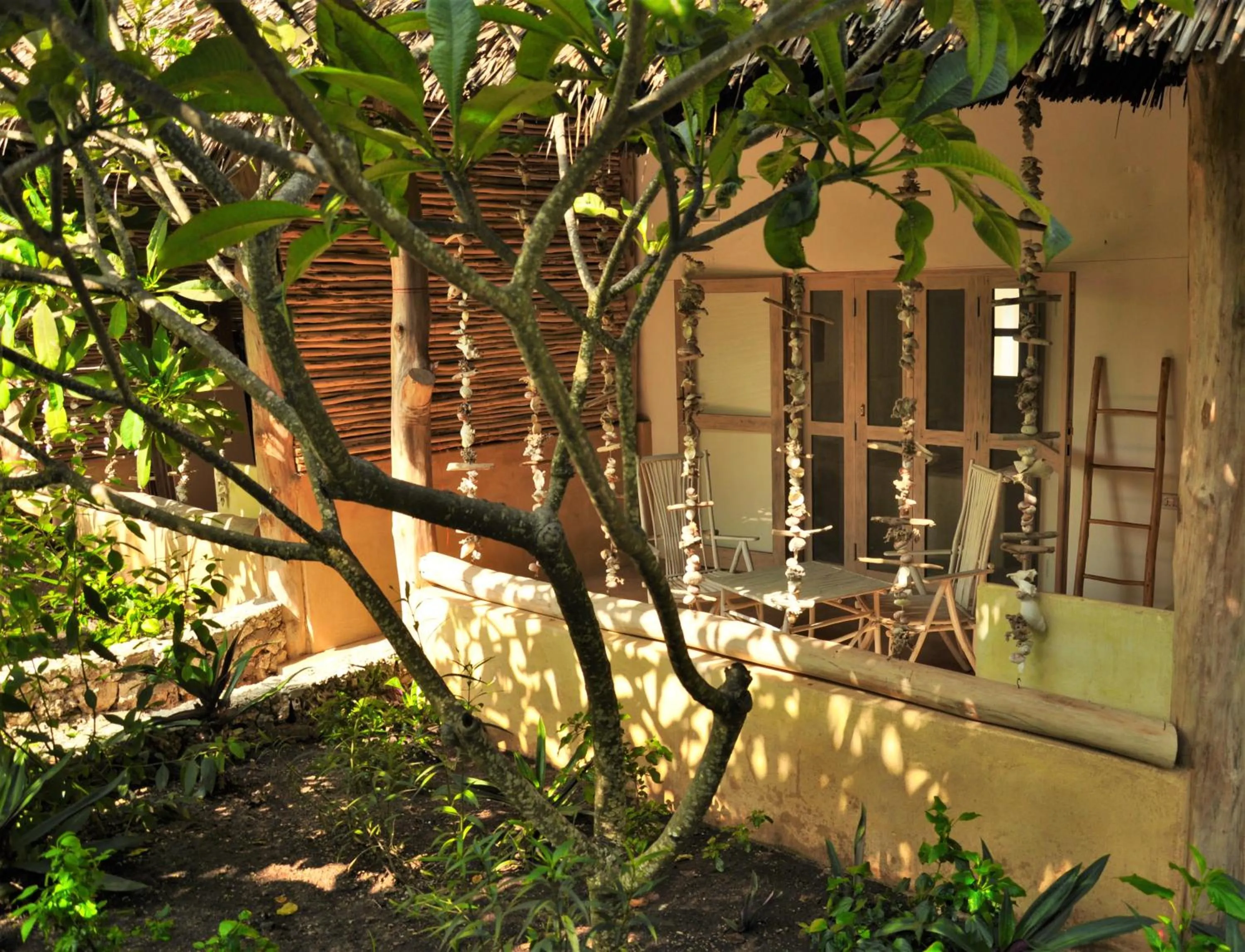 Garden in Sharazad Boutique Hotel