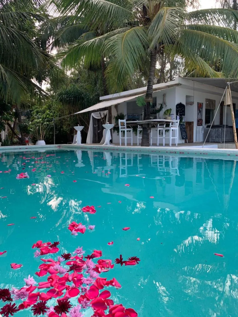 wedding in Sharazad Boutique Hotel