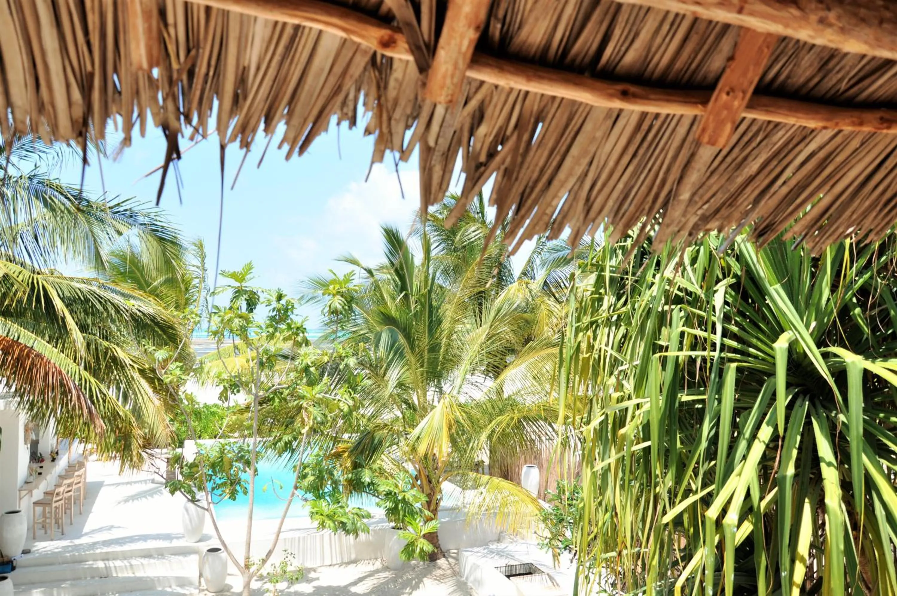 Garden in Sharazad Boutique Hotel