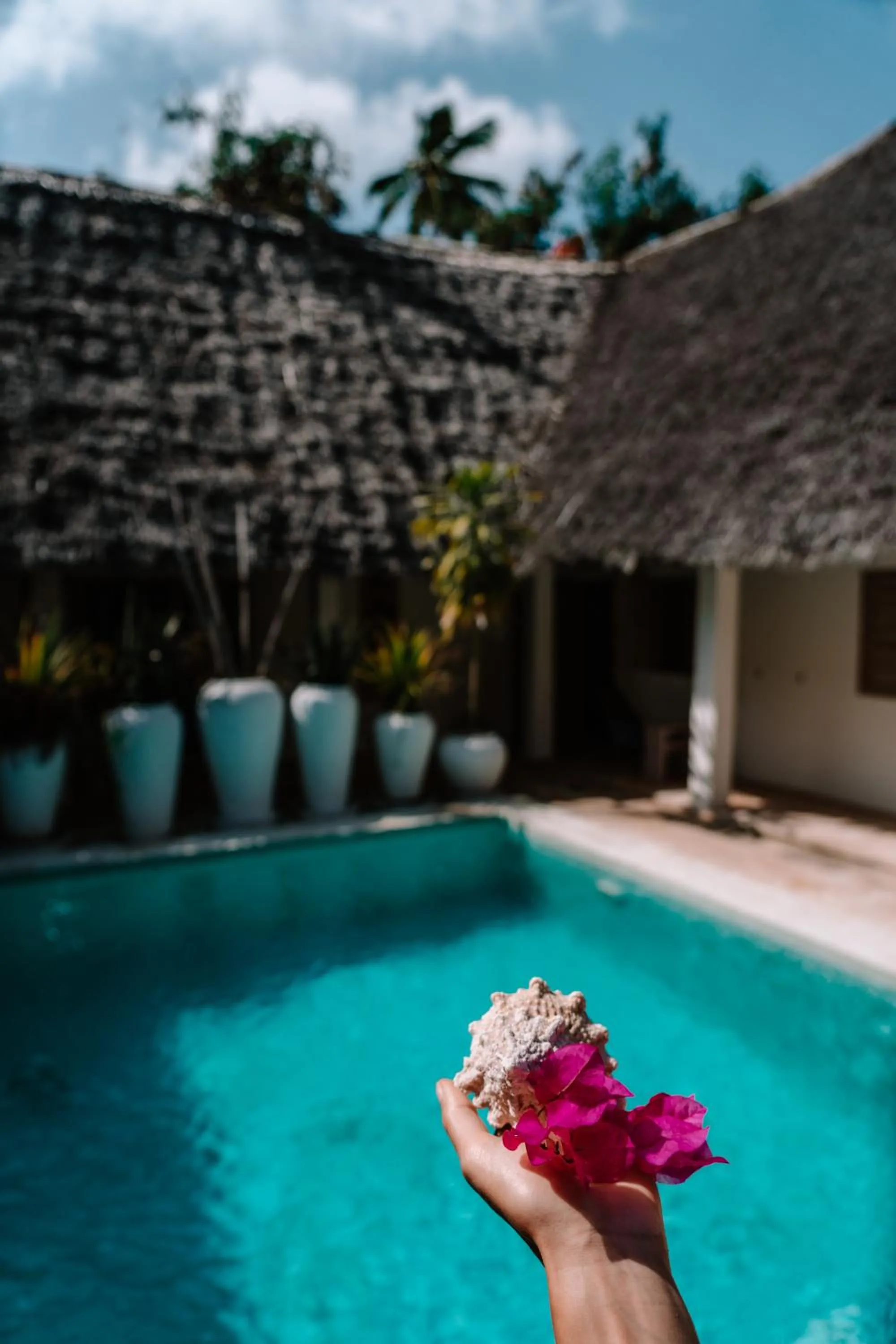 Swimming pool in Sharazad Boutique Hotel