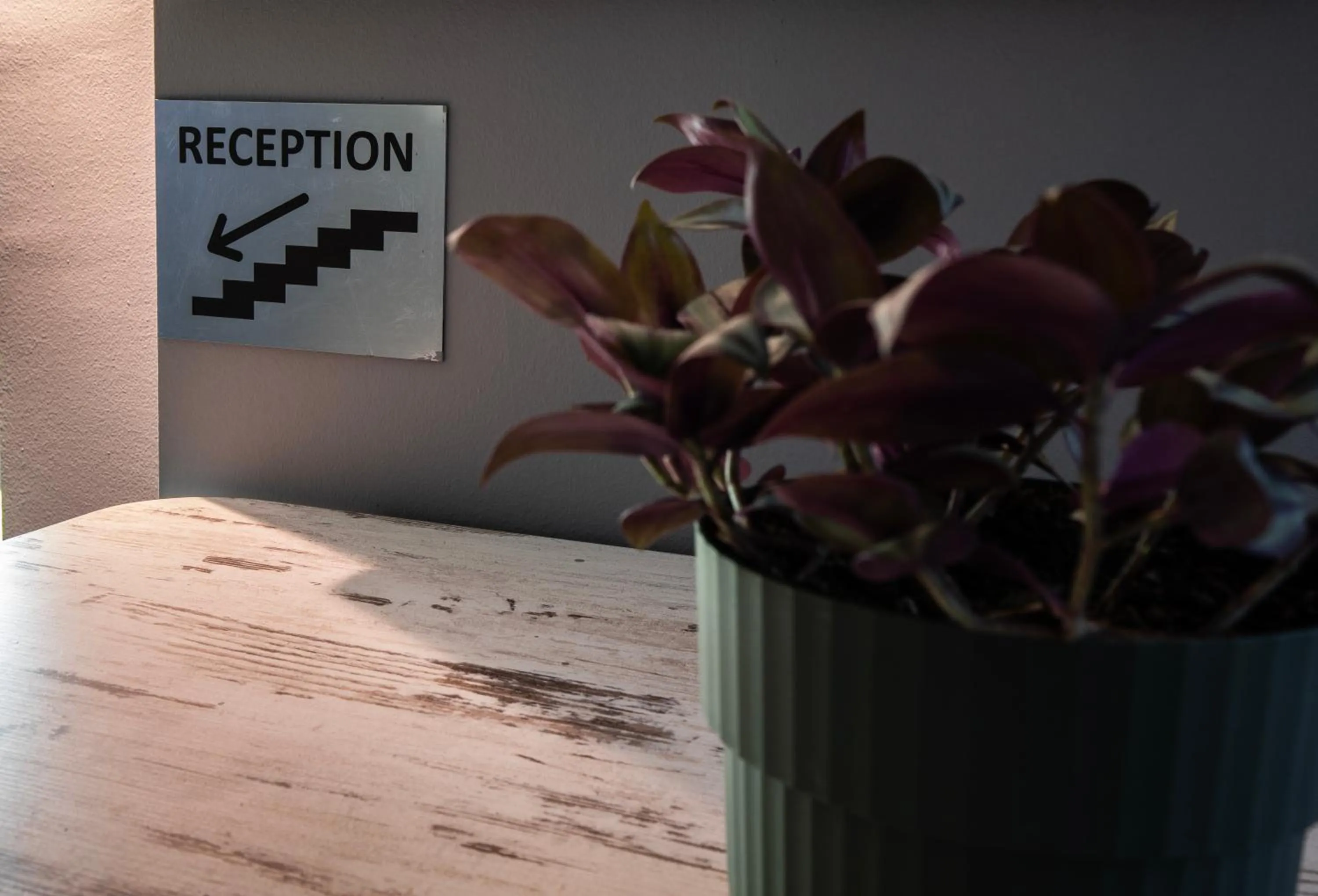 Area and facilities in View Inn Boutique Hotel