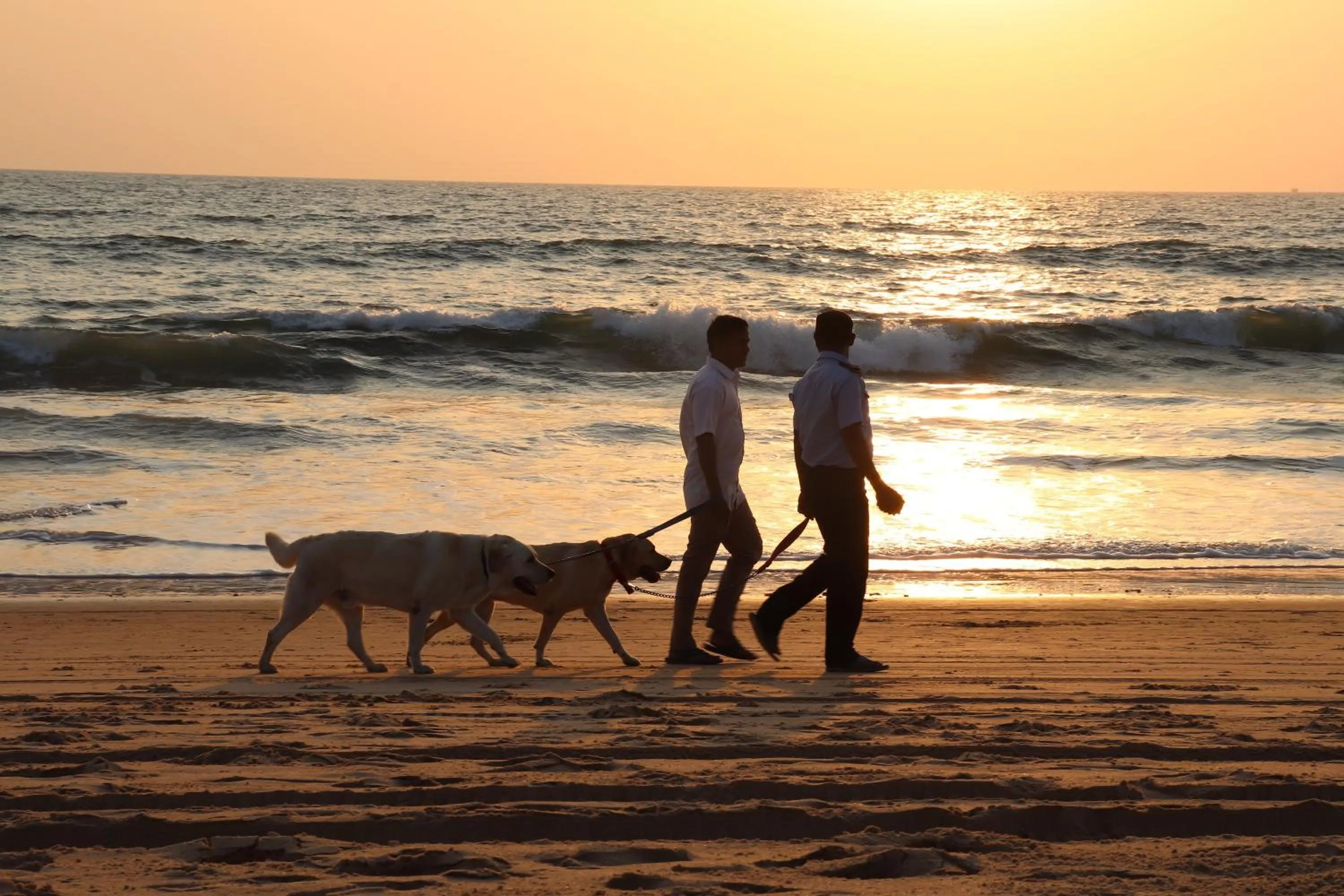 Beach in Peravel Beach Holiday Home