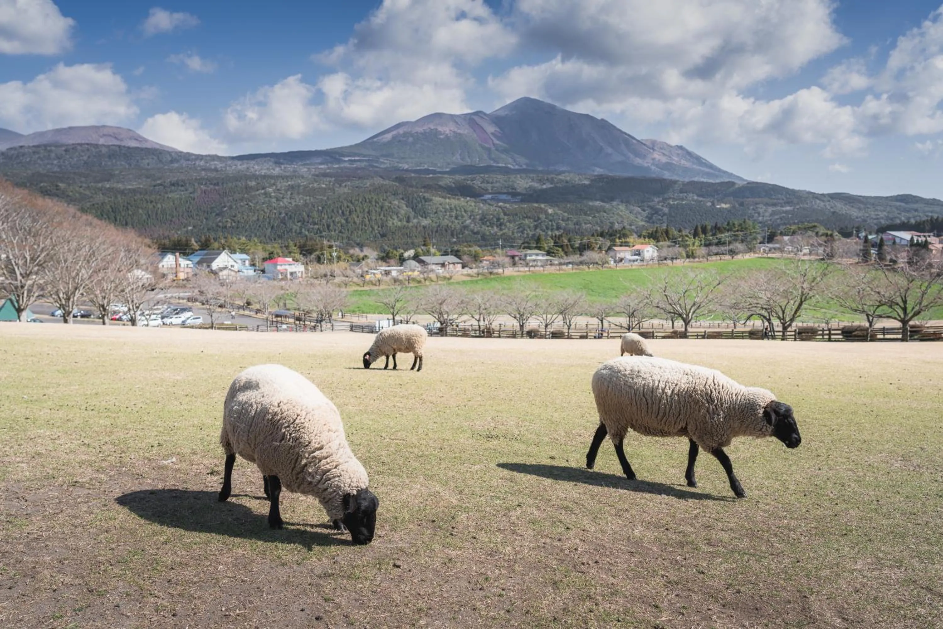 Natural landscape in Vessel Hotel Miyakonojo