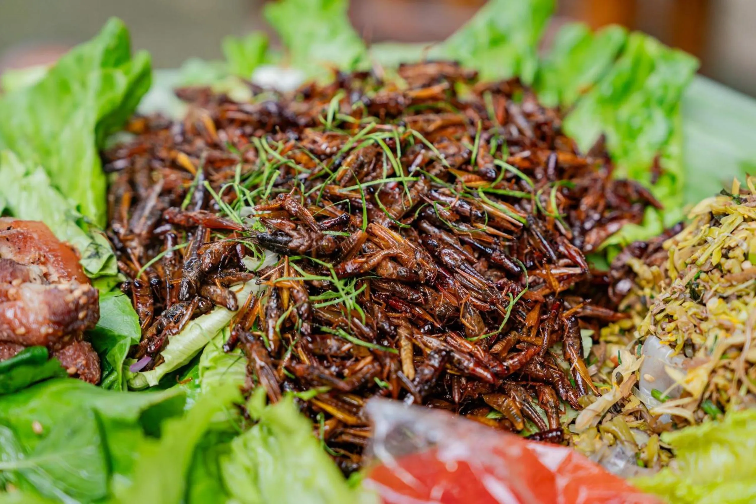Food in Mai Chau Sunrise Village