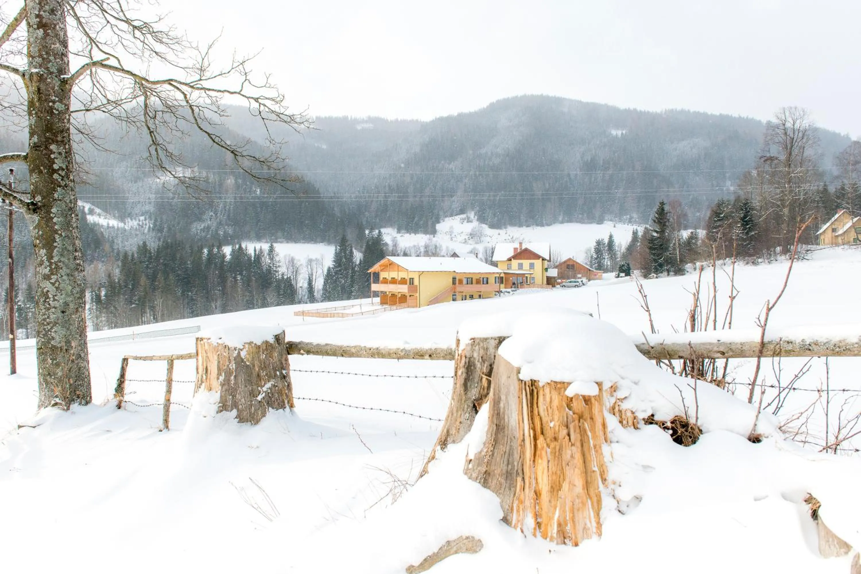 Property building in Gasthof Wachter