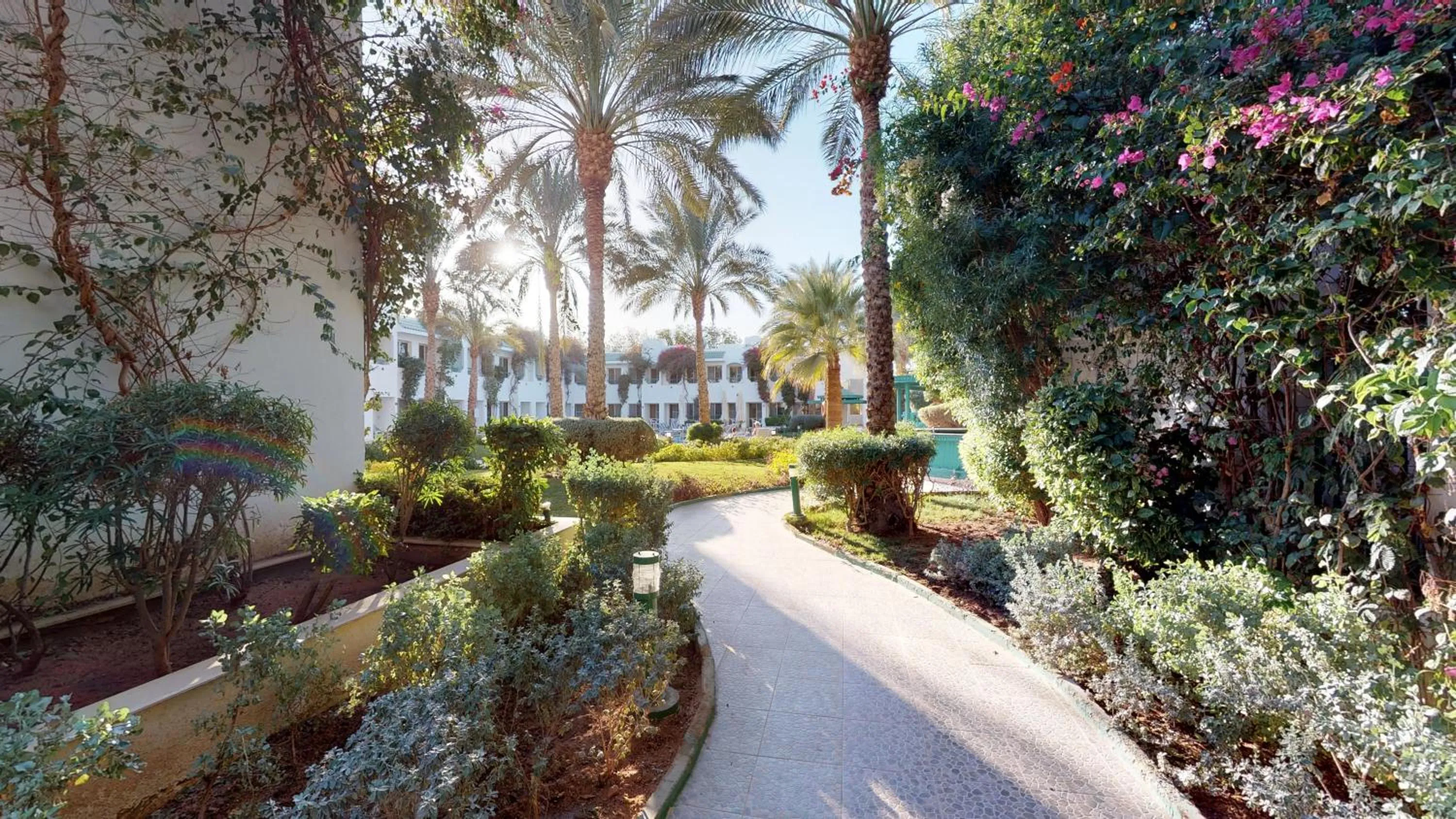 Garden in Falcon Hills Hotel