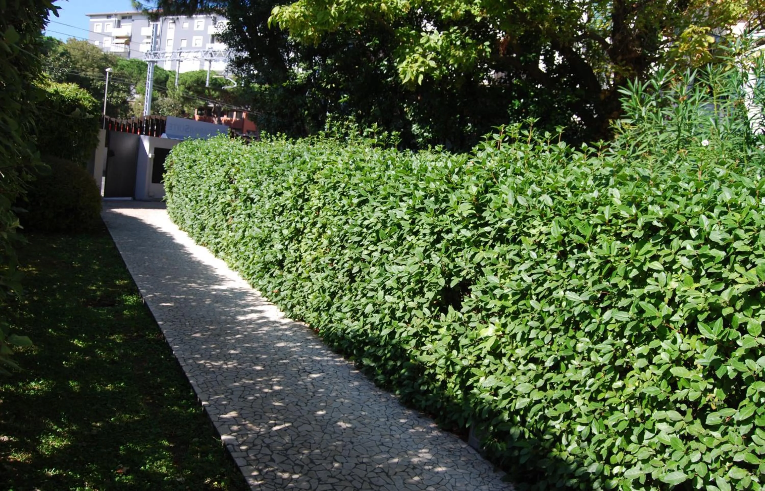 Other in Ceccarini Suite