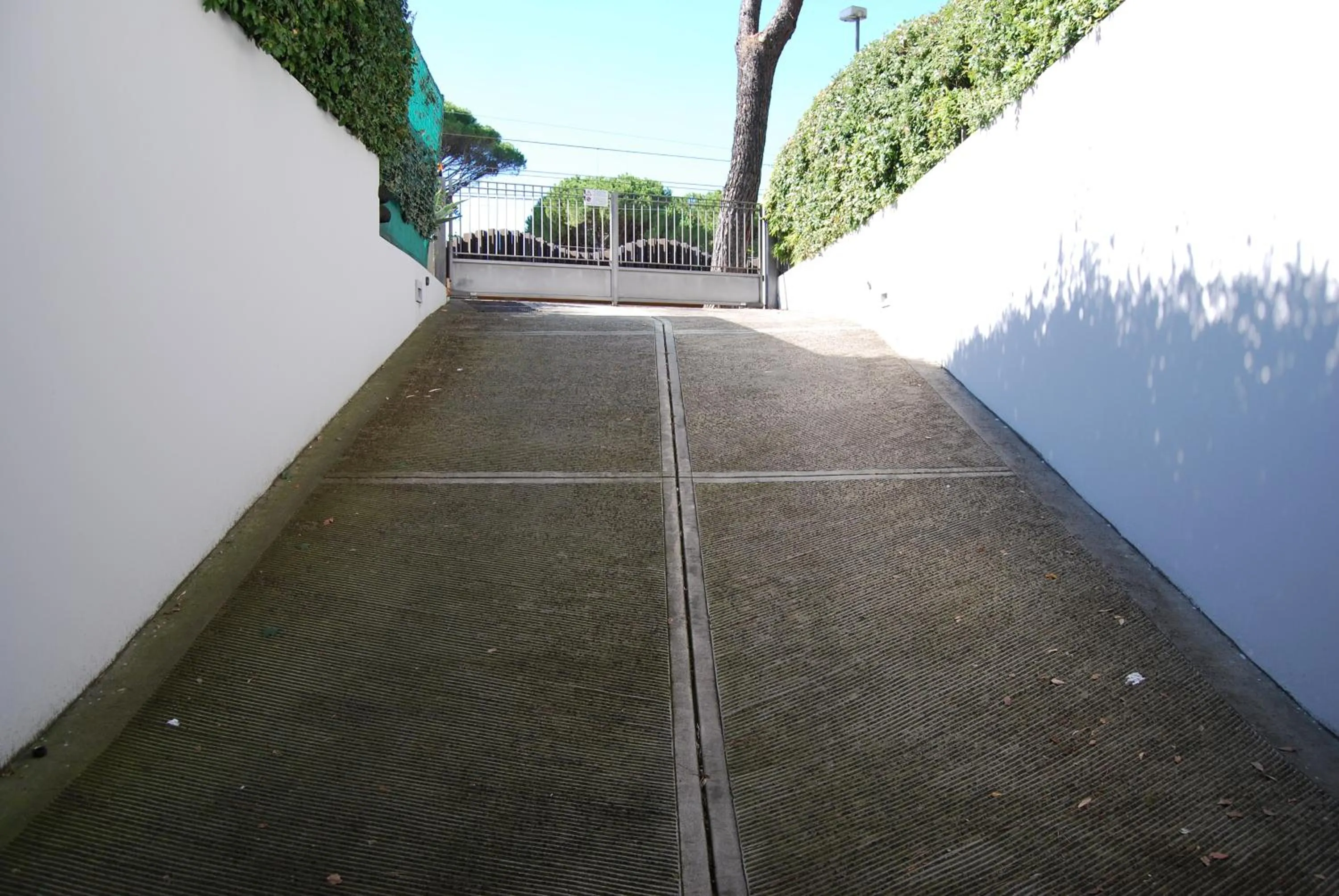 Other in Ceccarini Suite