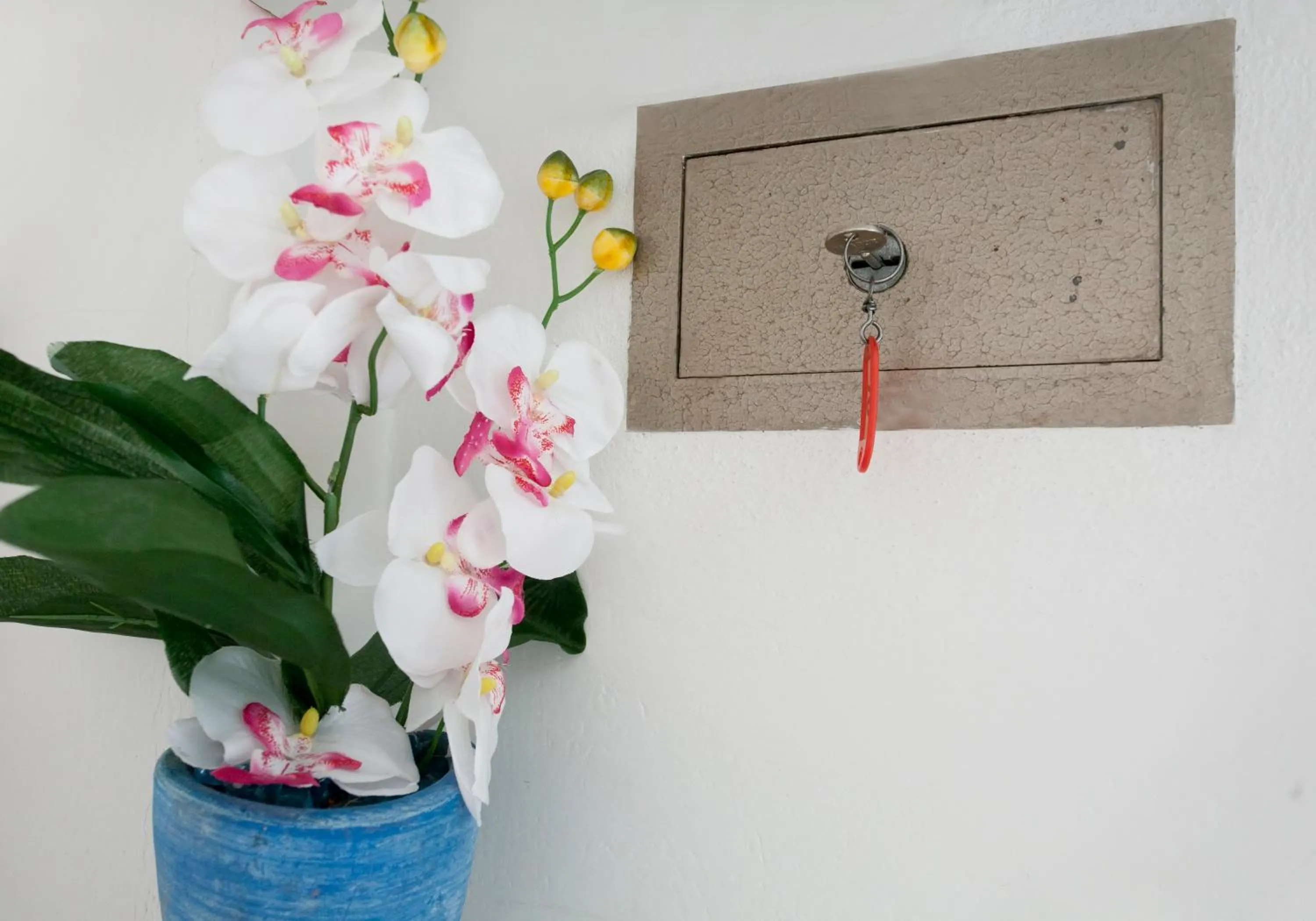 Other in Hotel Universal