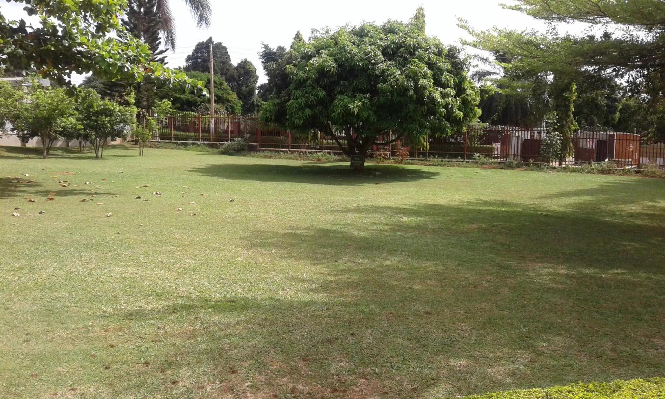 Garden in Skyway Hotel