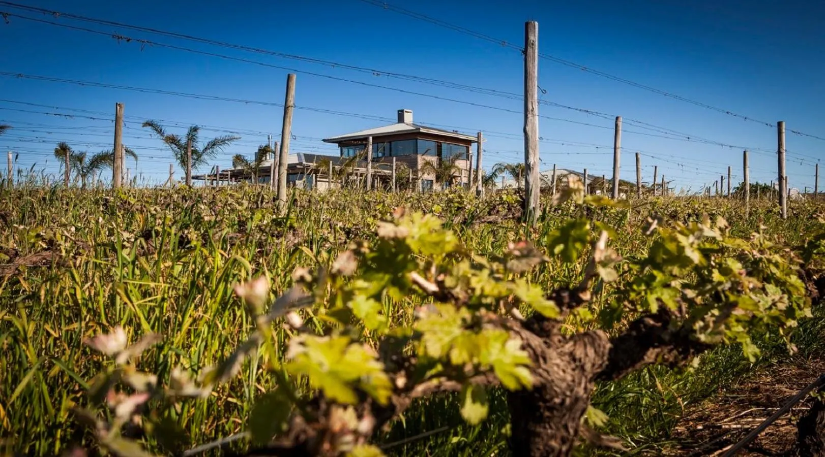 Property building in Domaine Coutelier