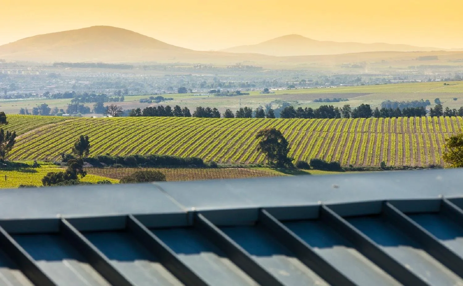 Natural landscape in Domaine Coutelier