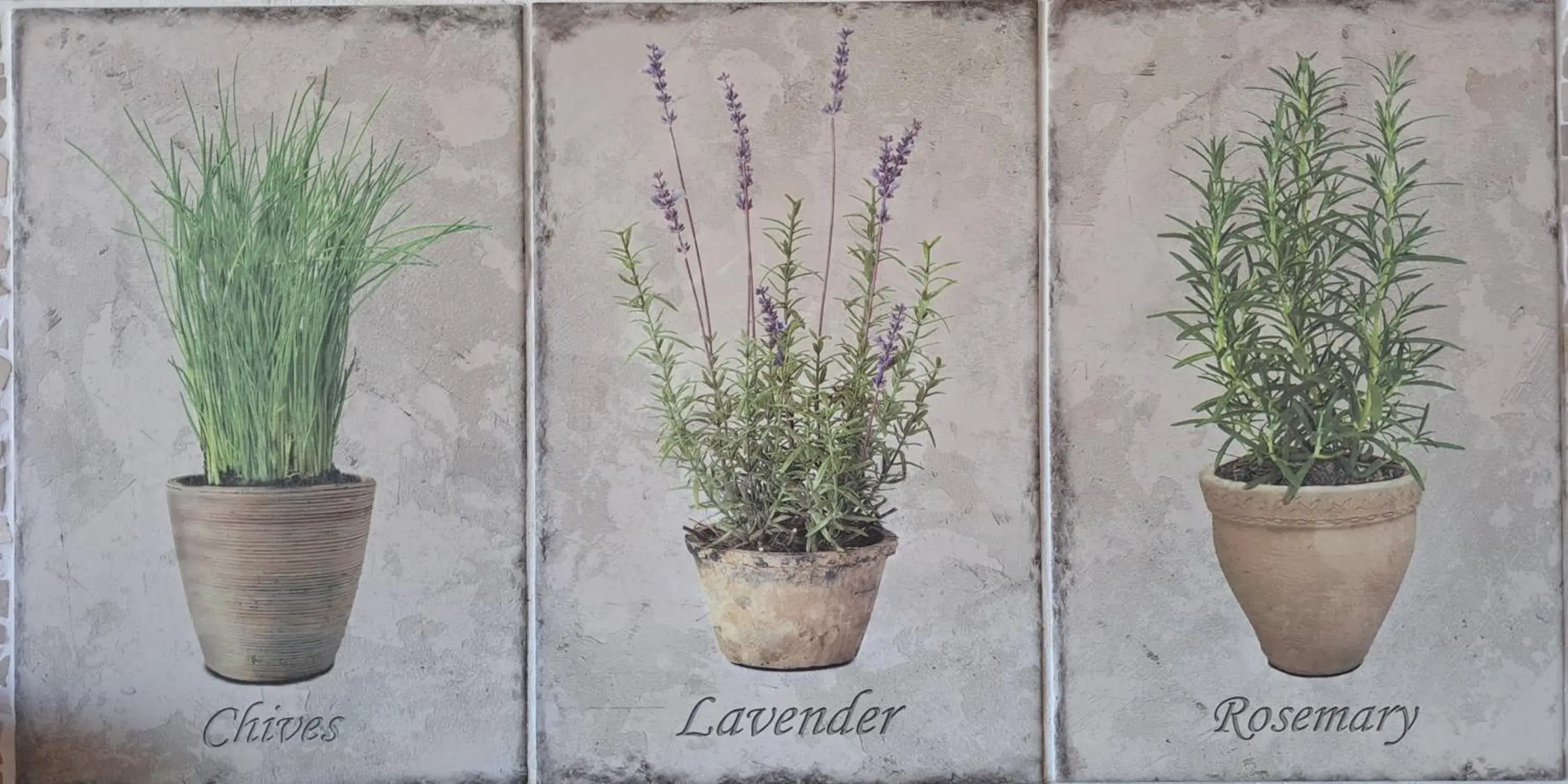 Cottage in Domaine Coutelier Cottage in Domaine Coutelier