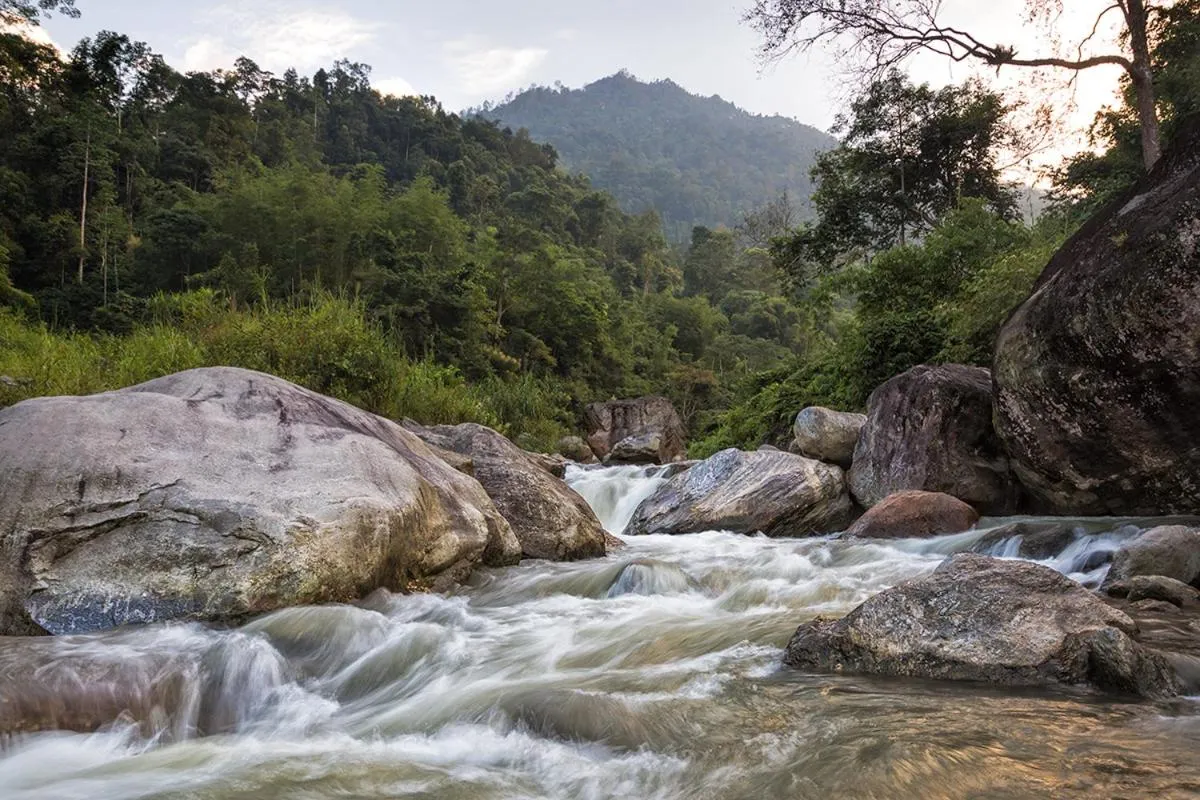 Natural landscape in Ging Tea House