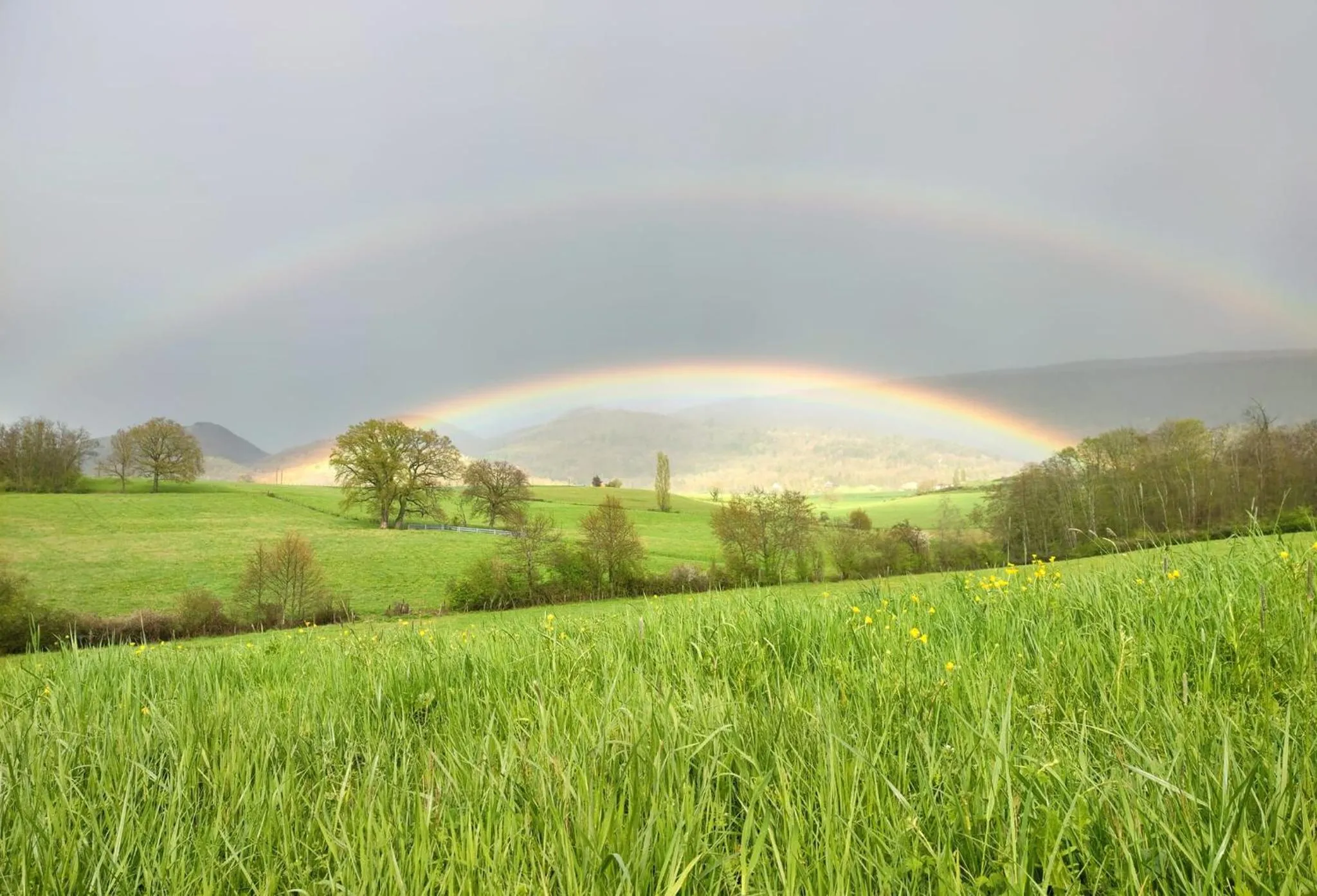 View (from property/room) in Terres de la Grange B&B