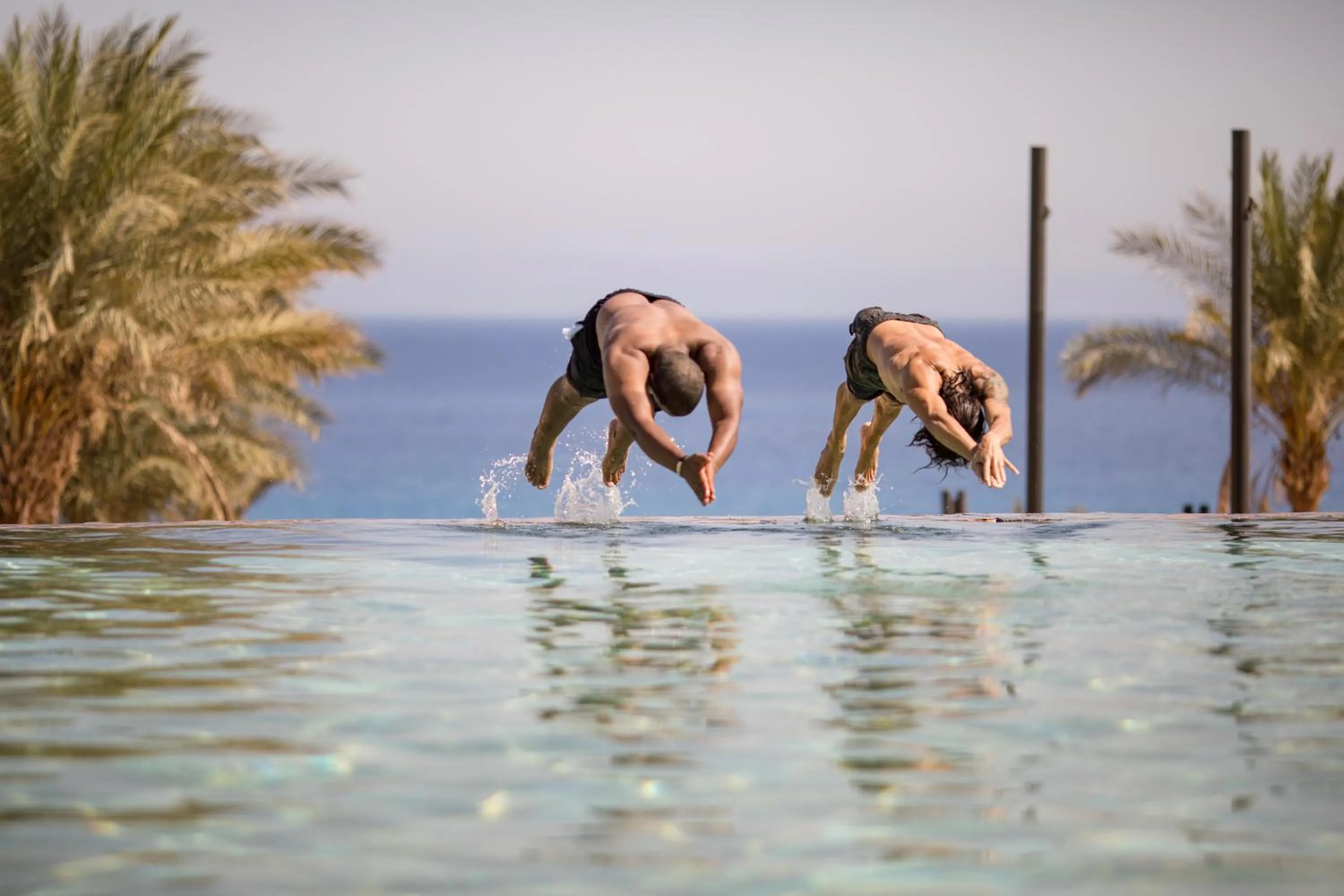Day, Other Animals in Le Méridien Dahab Resort & SPA