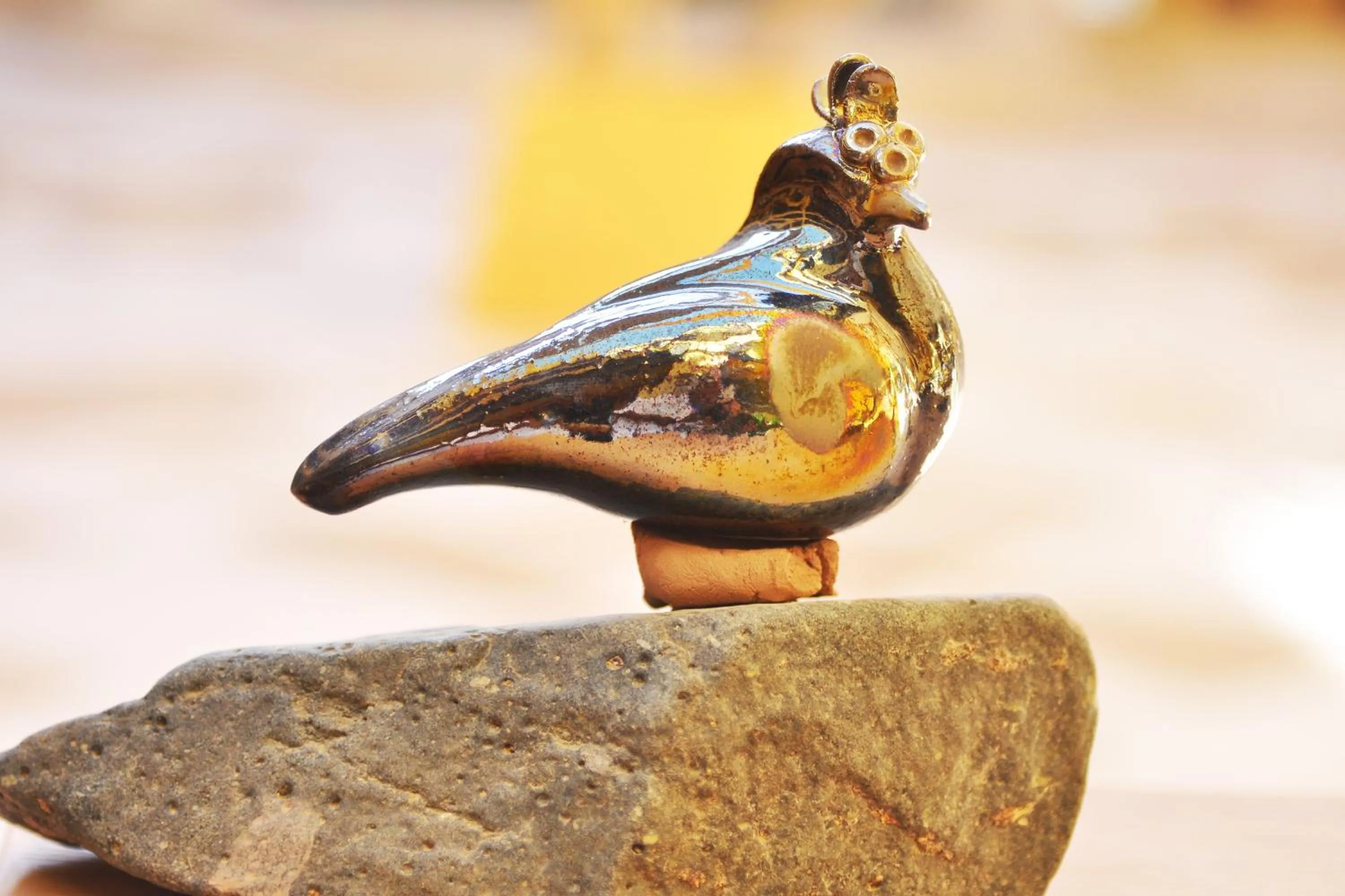 Day, Other Animals in Le Méridien Dahab Resort & SPA