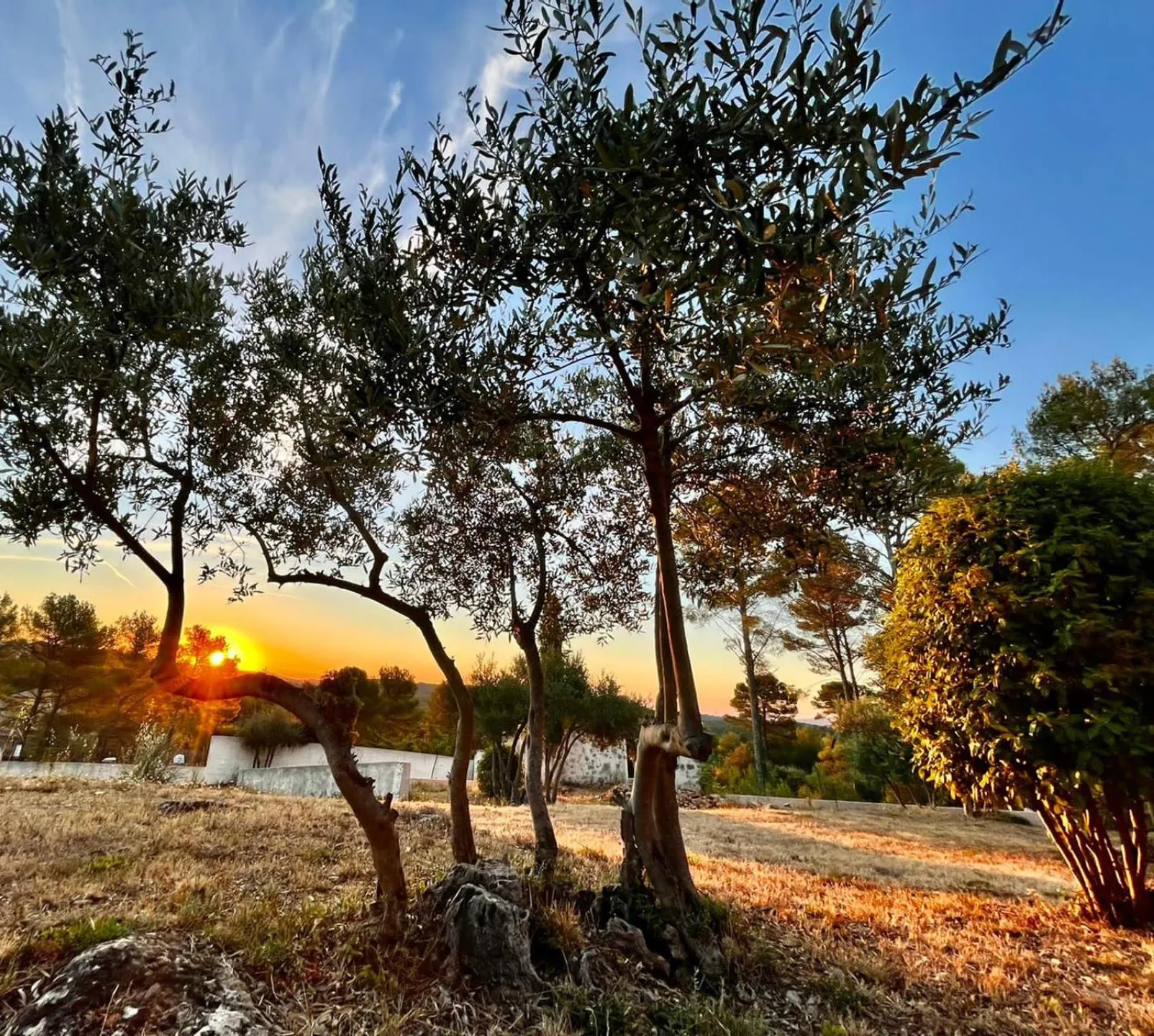 Garden in La Bastide Des Selves