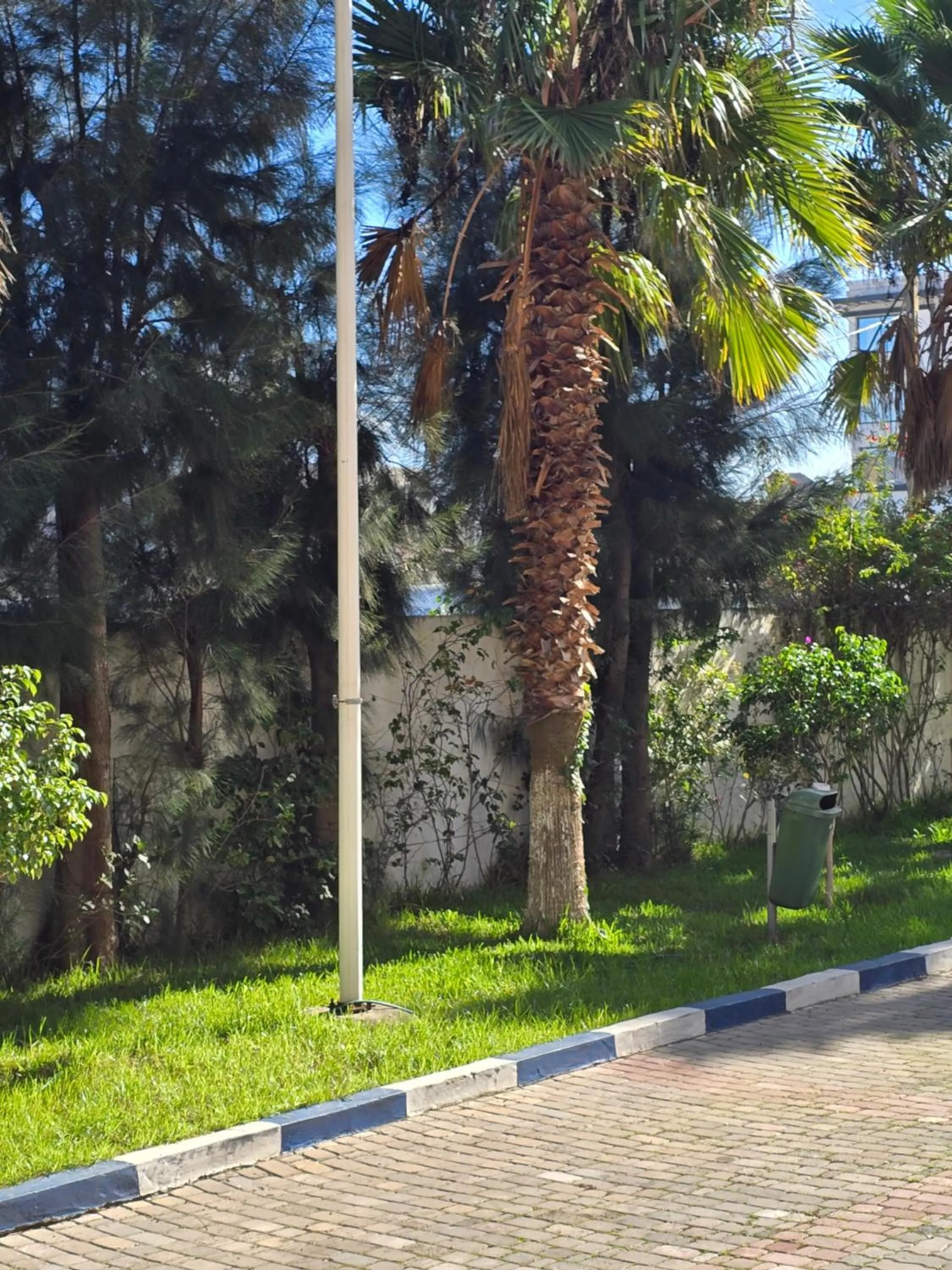 Garden in Tanger Med Hotel, Conference & Catering