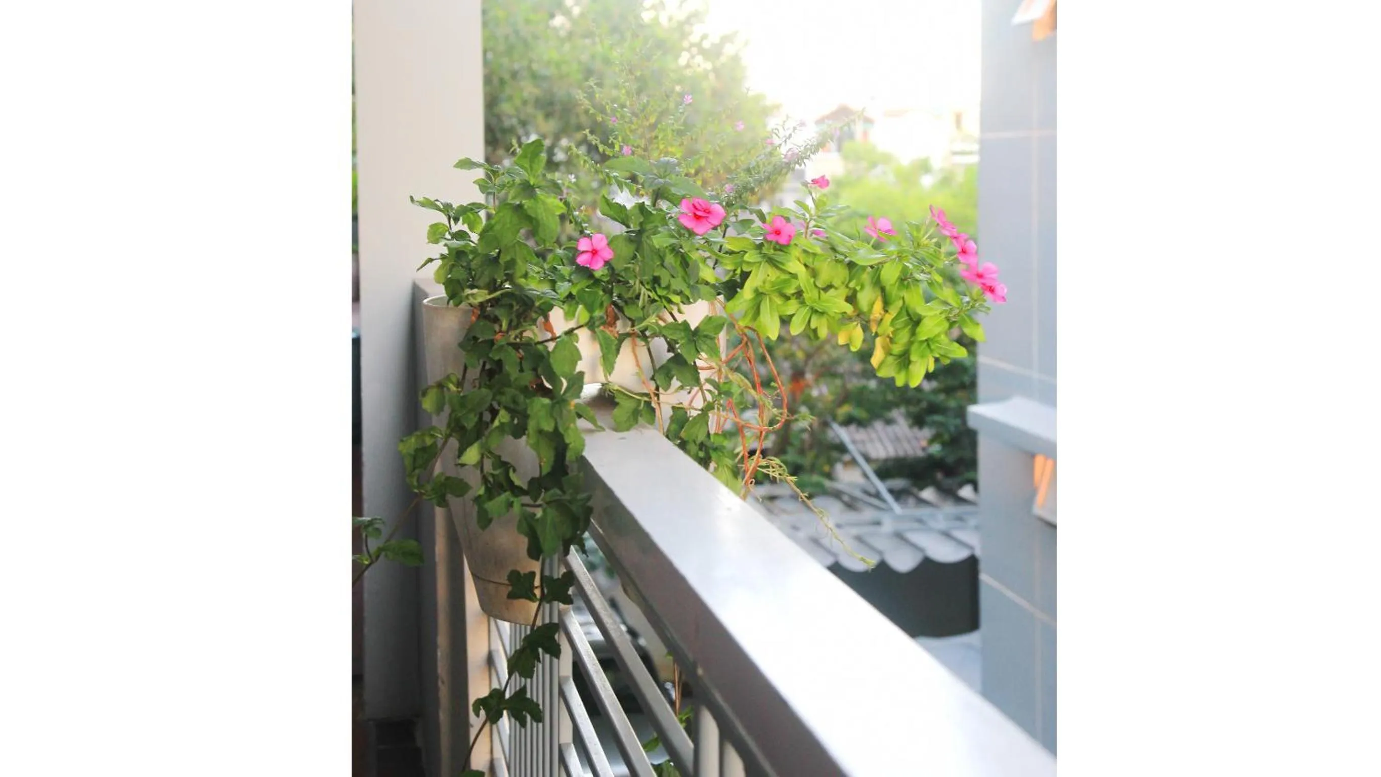 Balcony/Terrace in Quan Quan Hotel