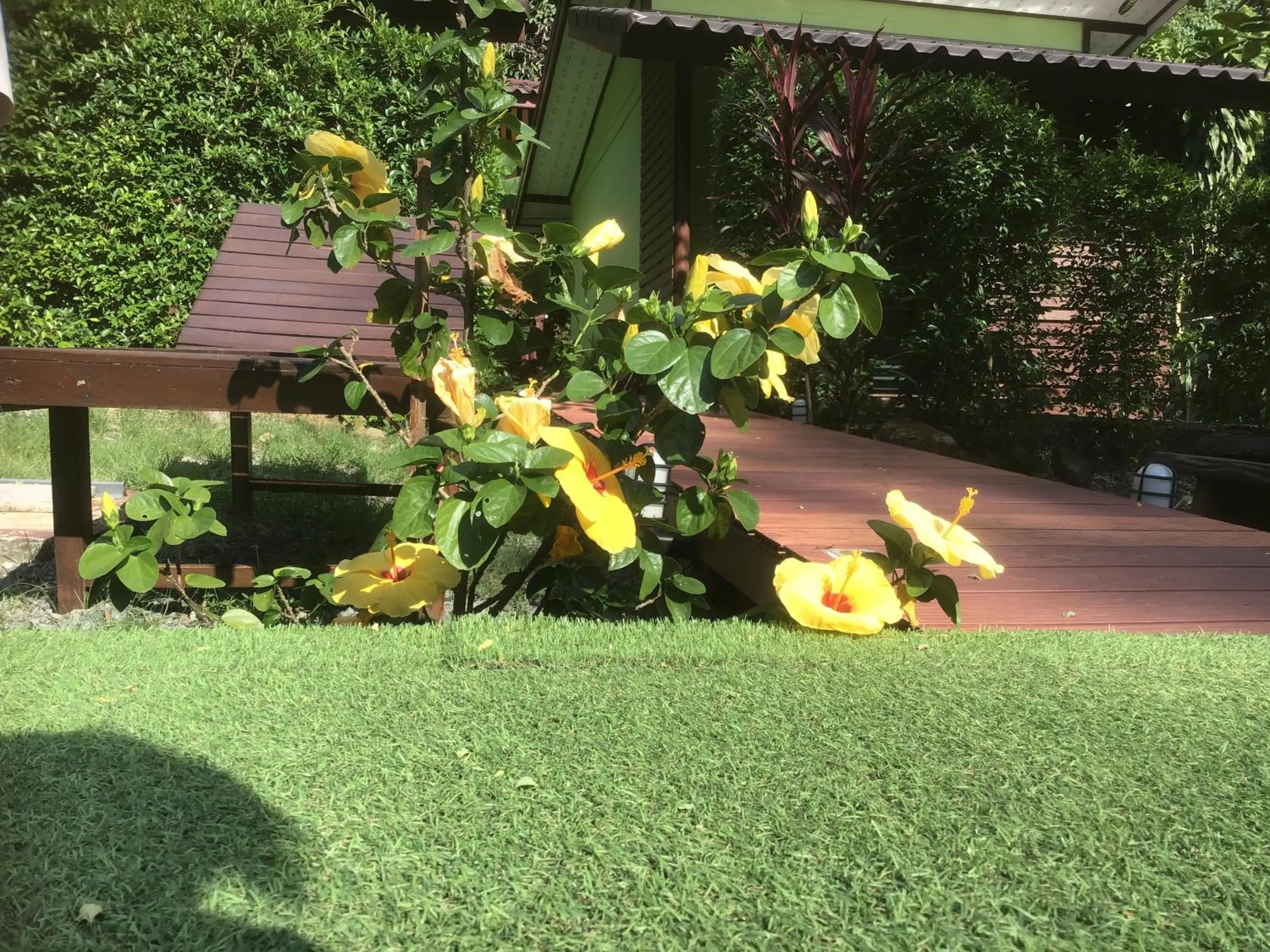 Swimming pool in Grand Tree