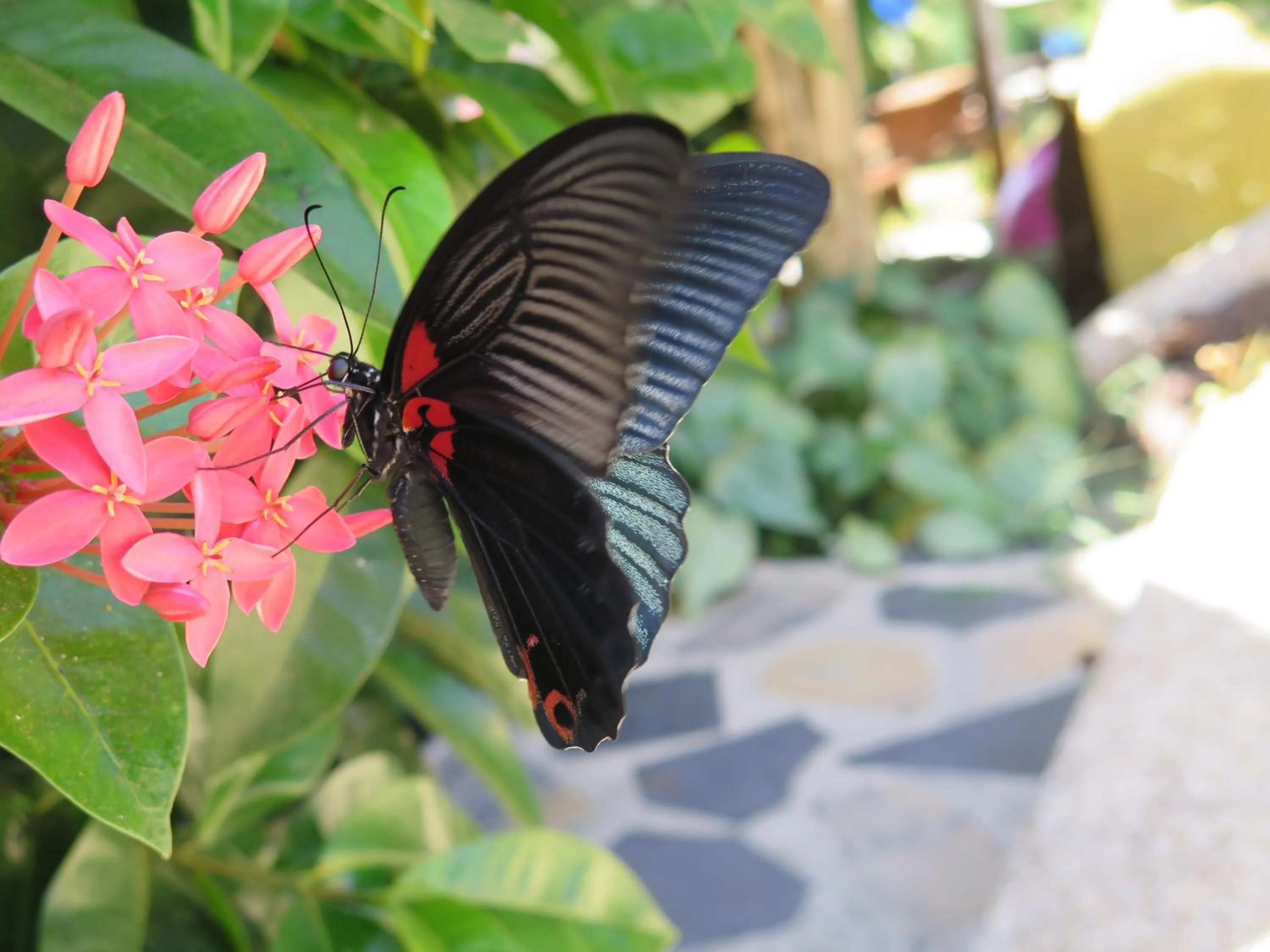 Natural landscape in Grand Tree