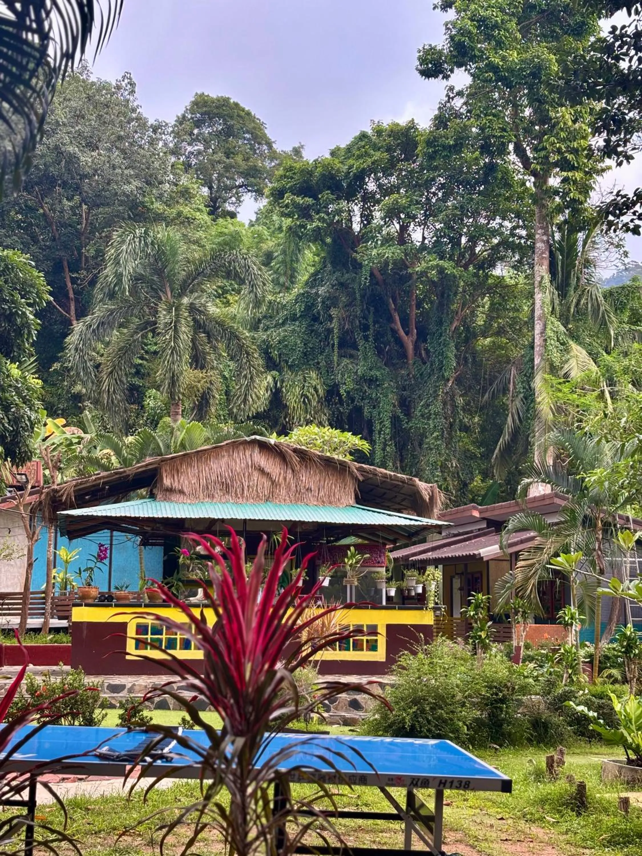 Table tennis in Grand Tree