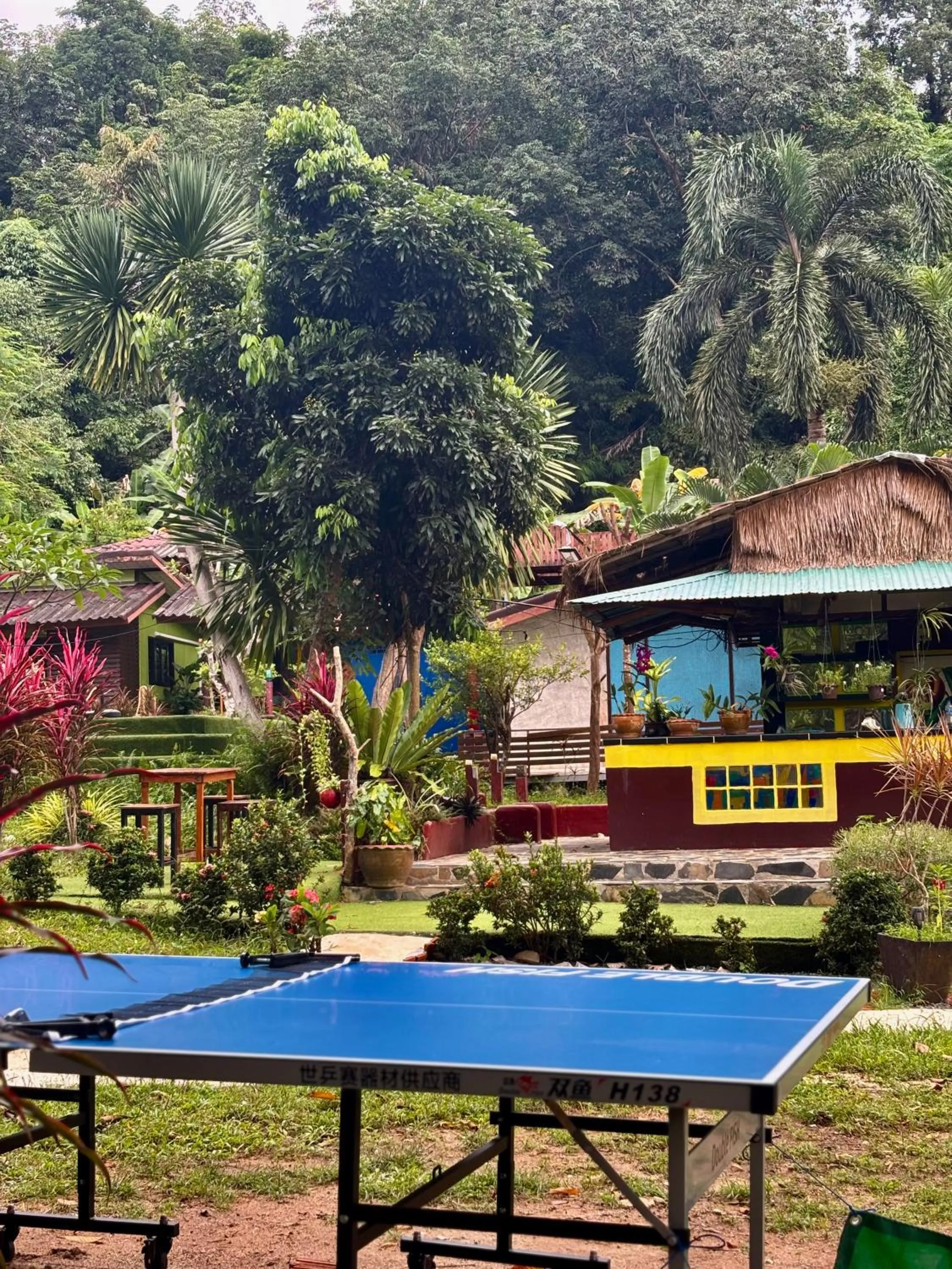 Table tennis in Grand Tree