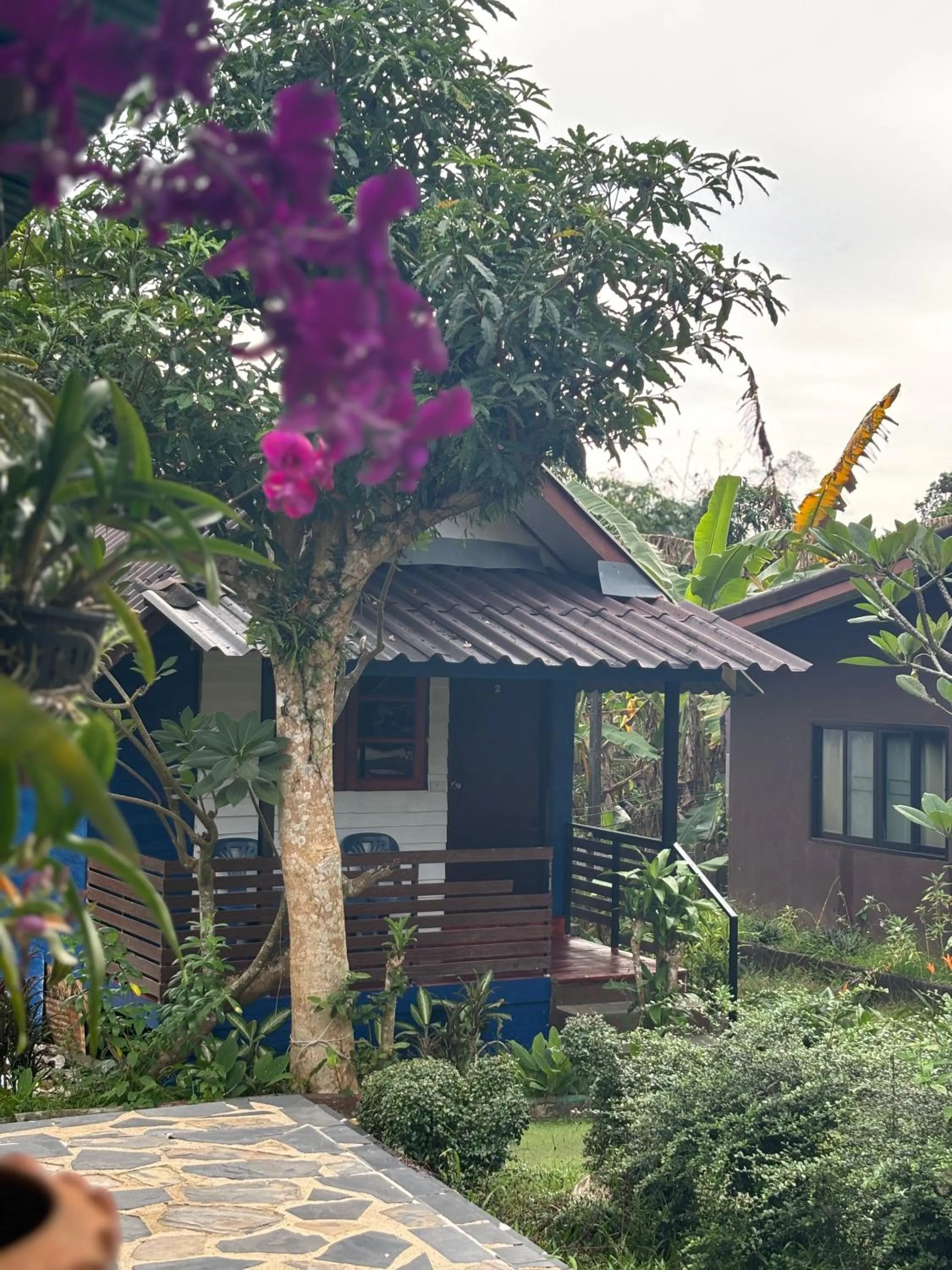 Property building in Grand Tree