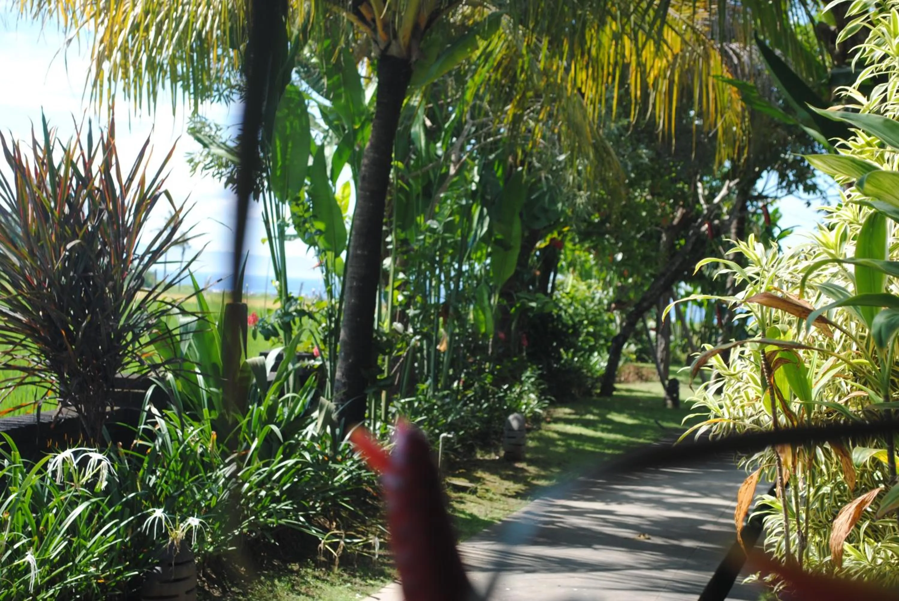 Neighbourhood in Kori Maharani Villas & Resort