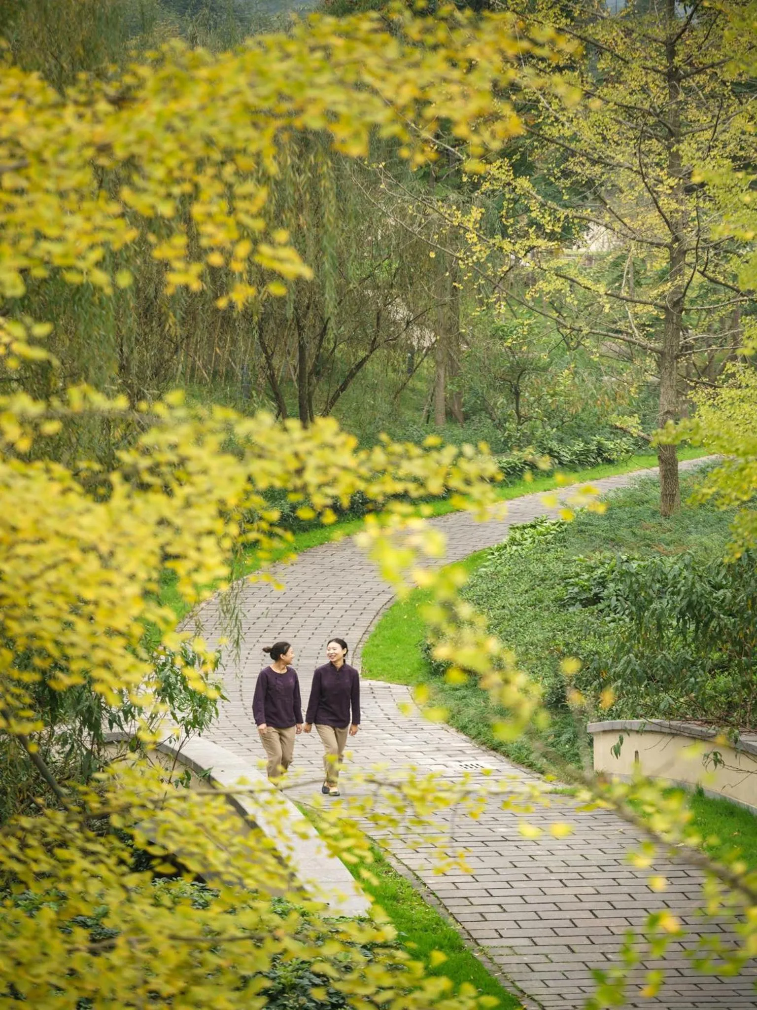 Guests in Six Senses Qing Cheng Mountain