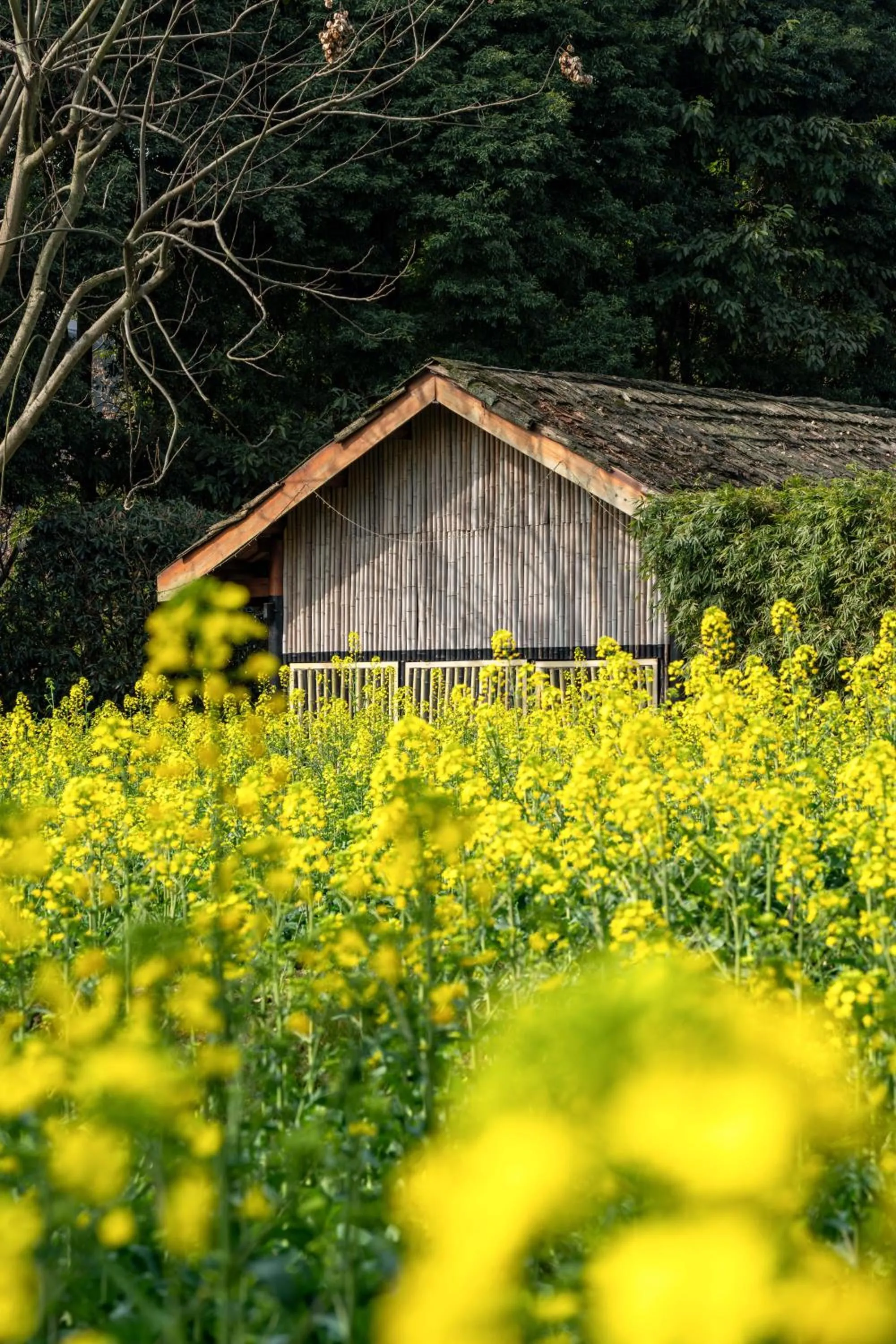 Six Senses Qing Cheng Mountain