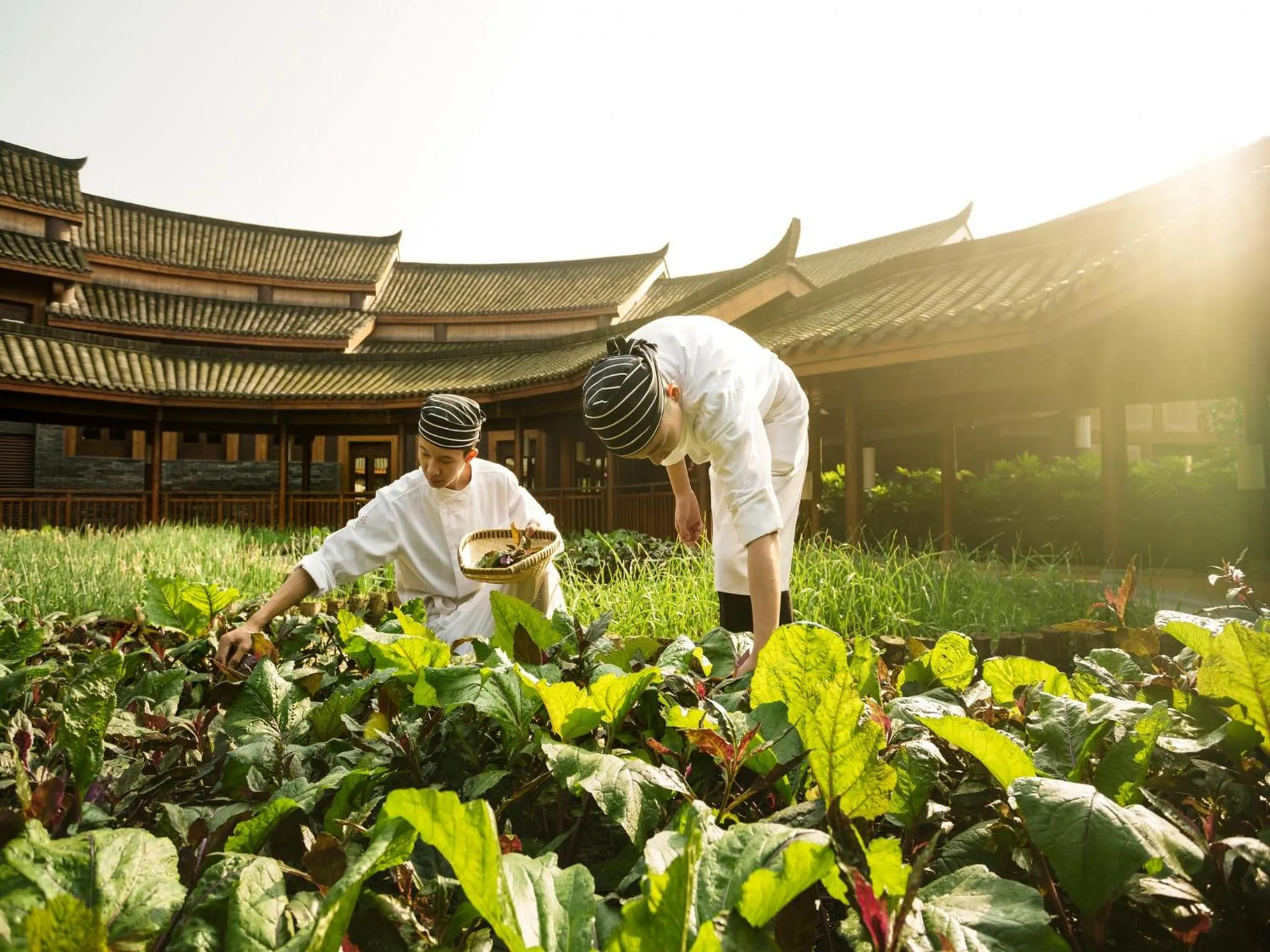 Staff in Six Senses Qing Cheng Mountain