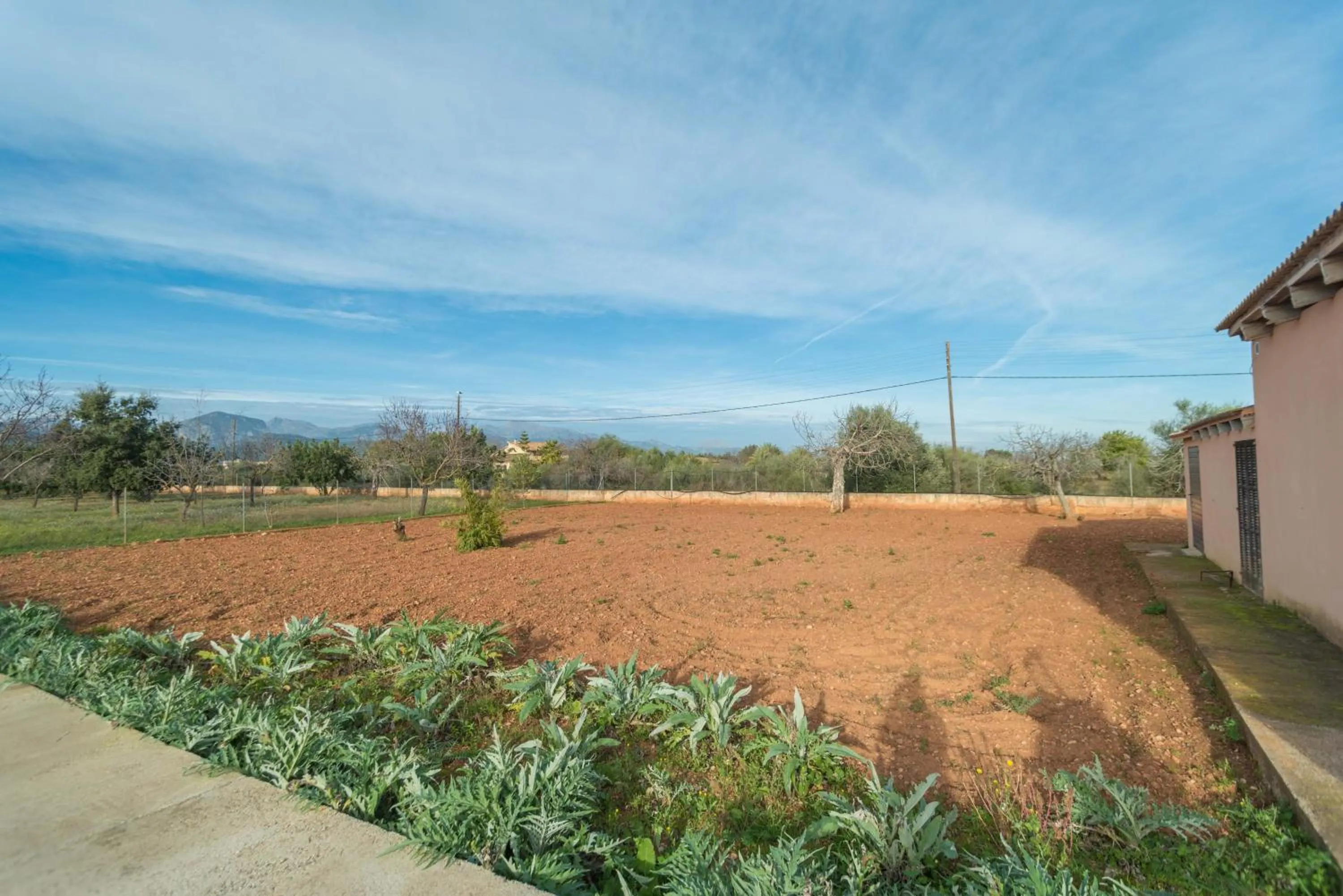 Other in Ca'n Canastro