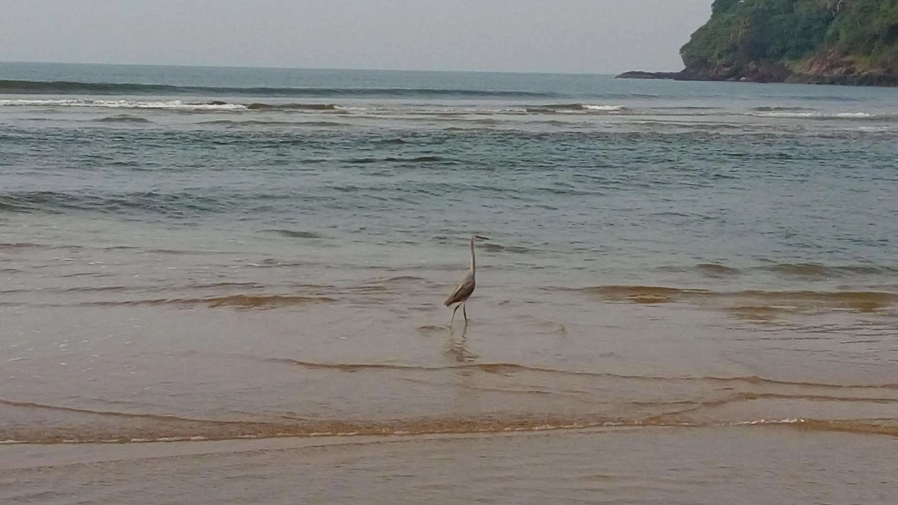 Property building in Agonda Paradise