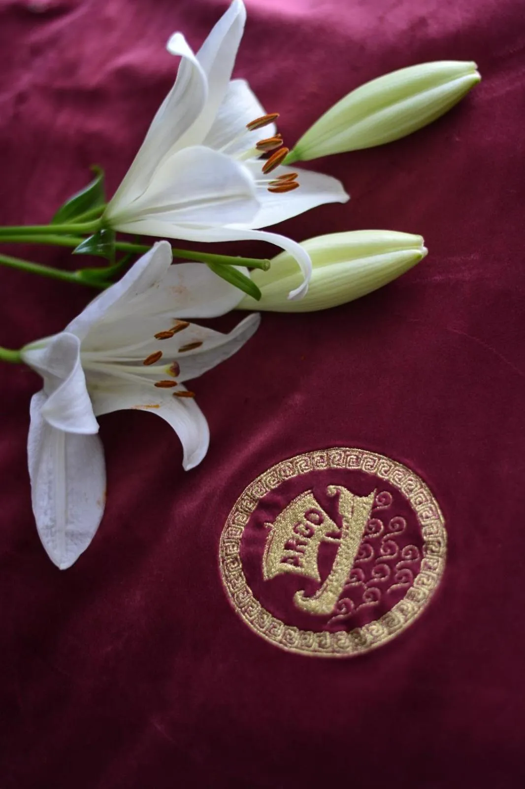 Property logo or sign in Boutique Hotel Argo