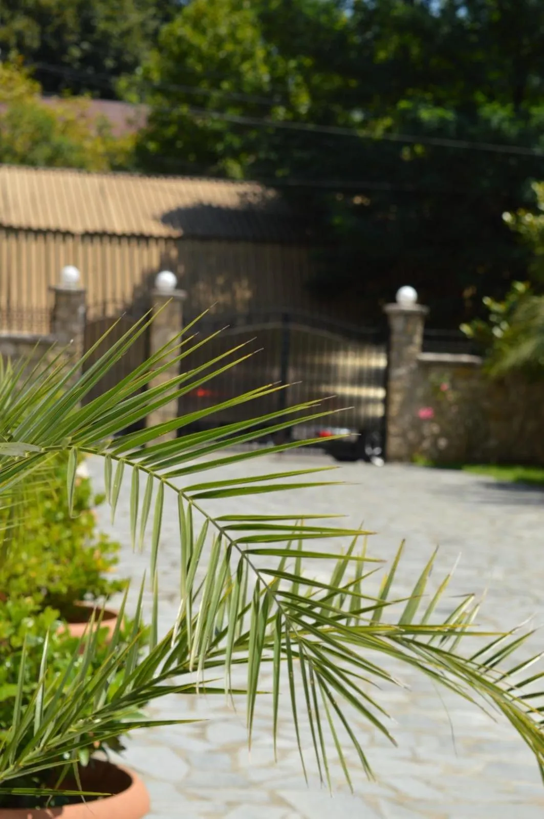 Property building in Boutique Hotel Argo