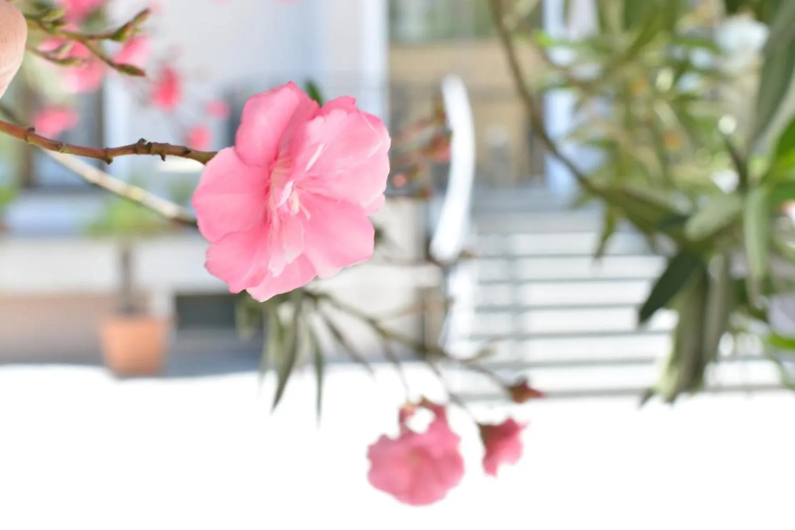 Property building in Boutique Hotel Argo