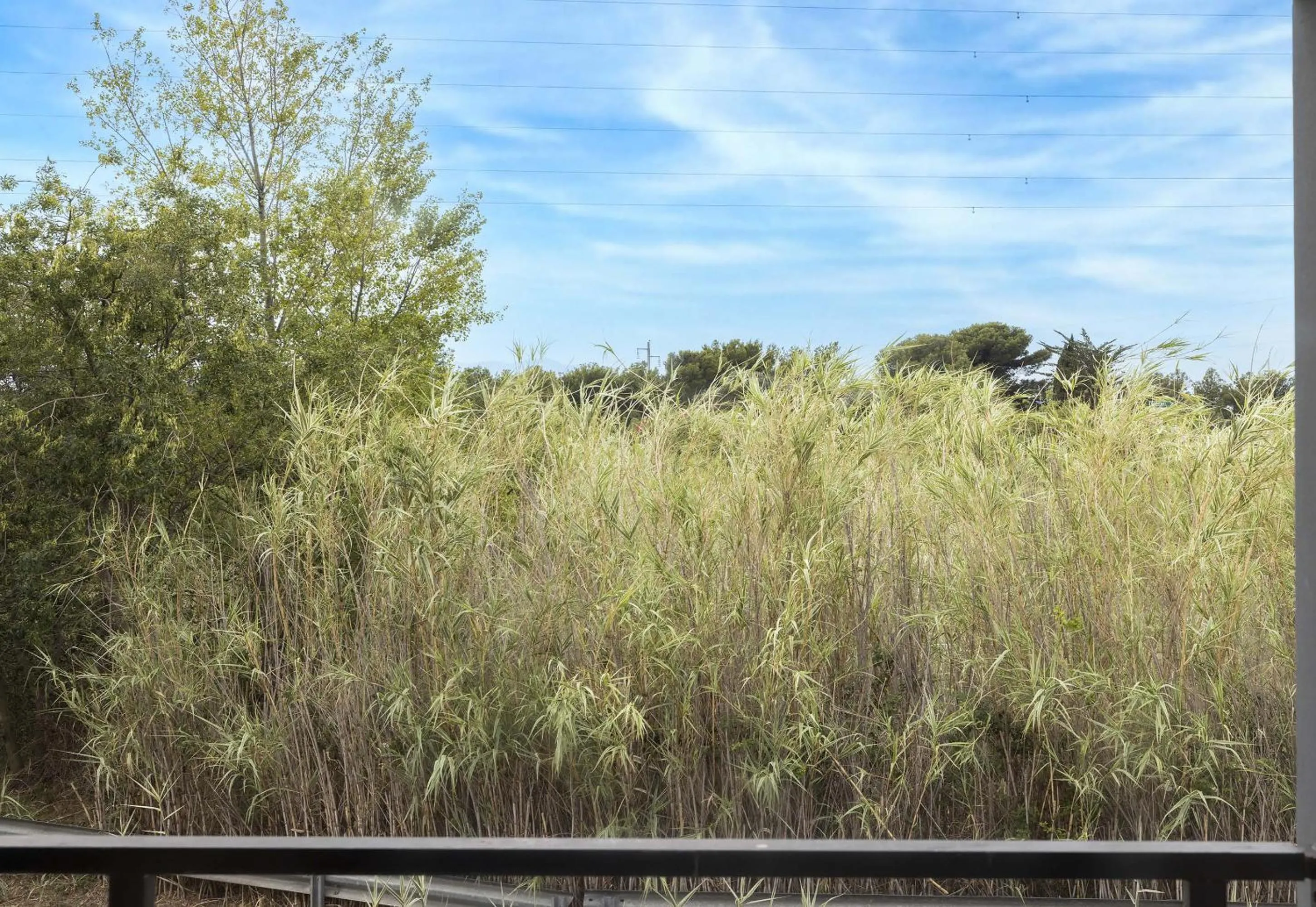 Natural landscape in B&B HOTEL Perpignan Sud Porte d'Espagne