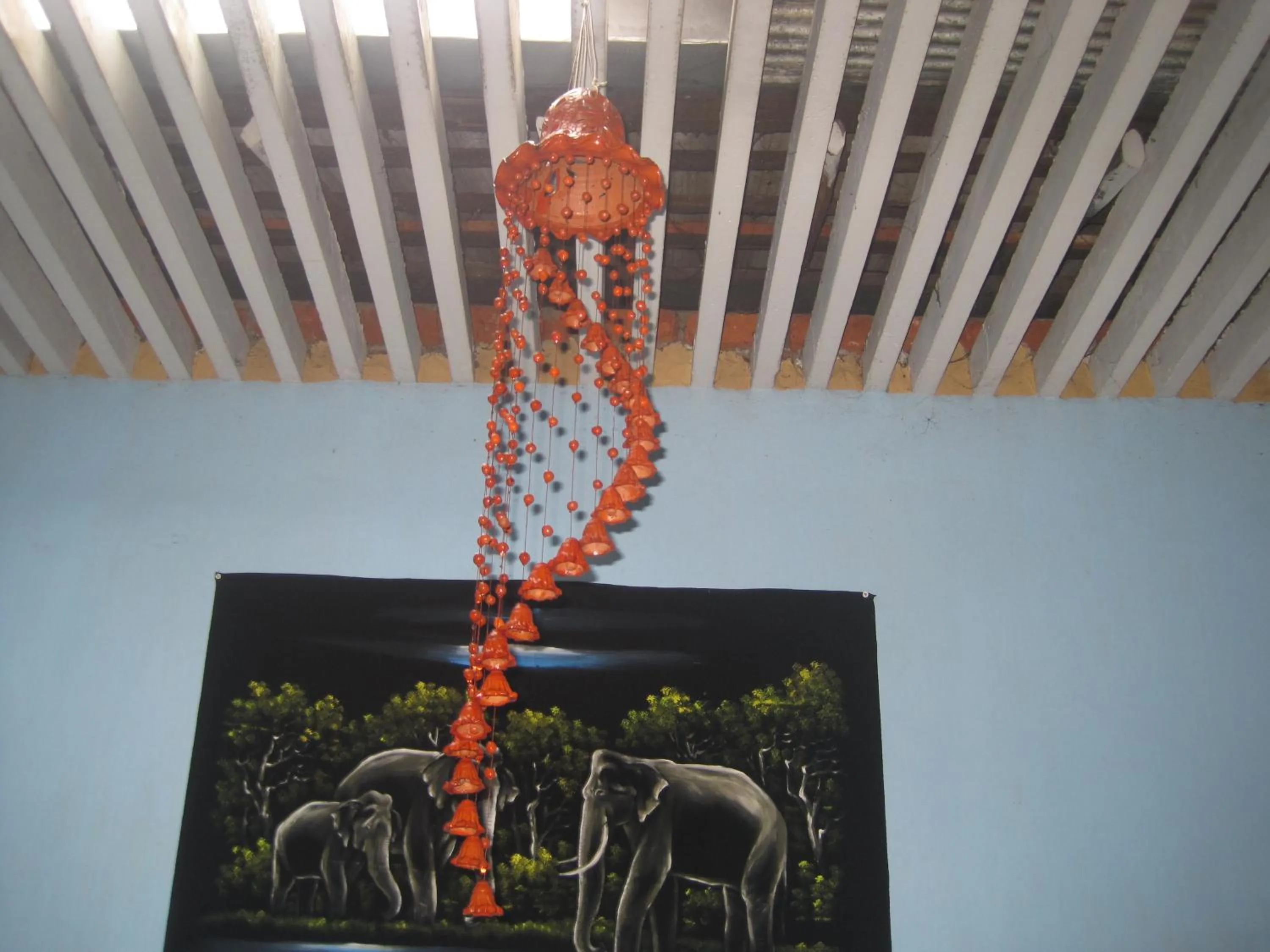 Animals in Ranith Villa